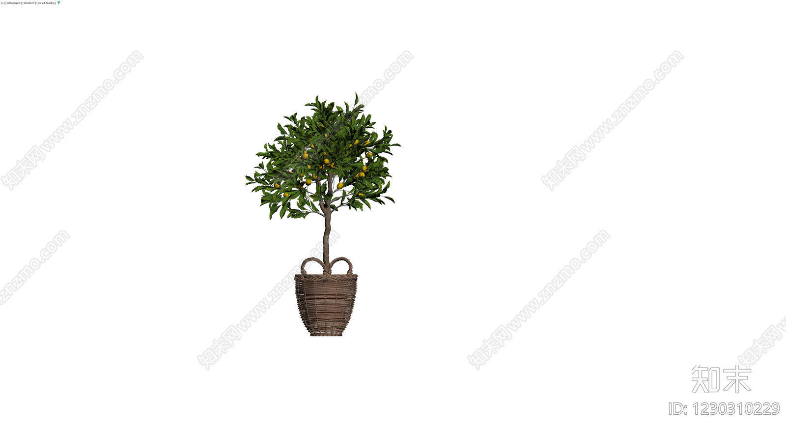 编织篮盆栽柠檬树3D模型下载【ID:1230310229】