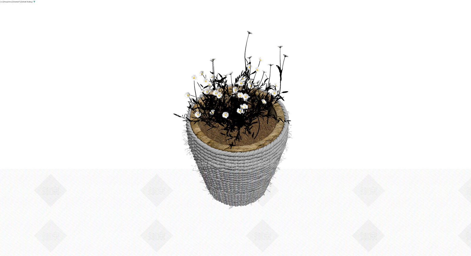 编织花盆盆栽植物3D模型下载【ID:1229880973】