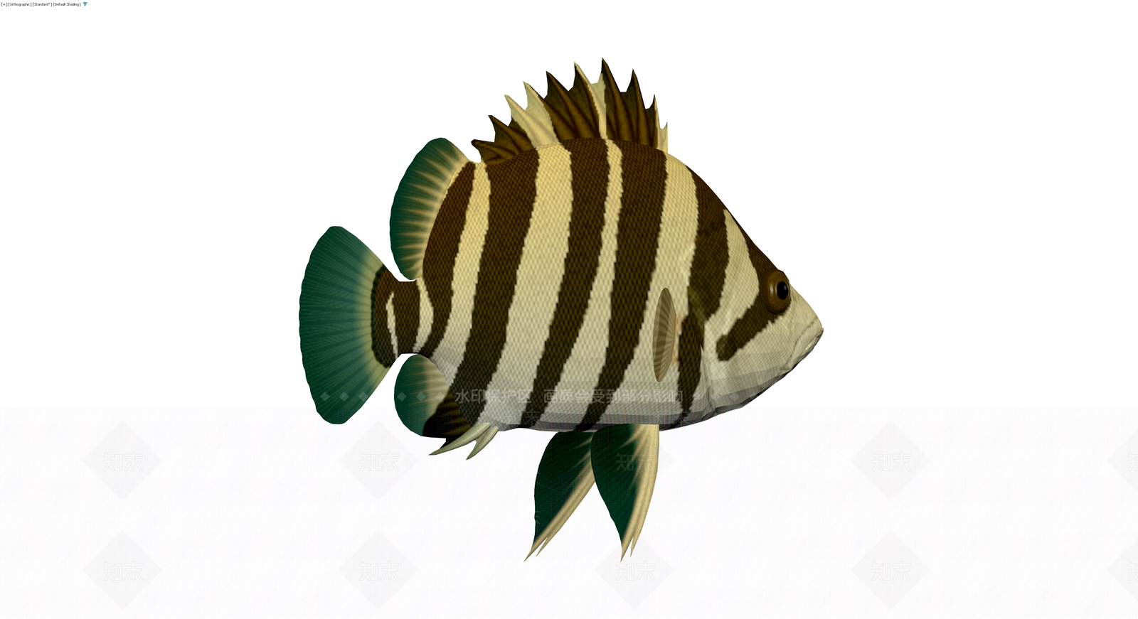虎鱼3D模型3D模型下载【ID:1229683675】