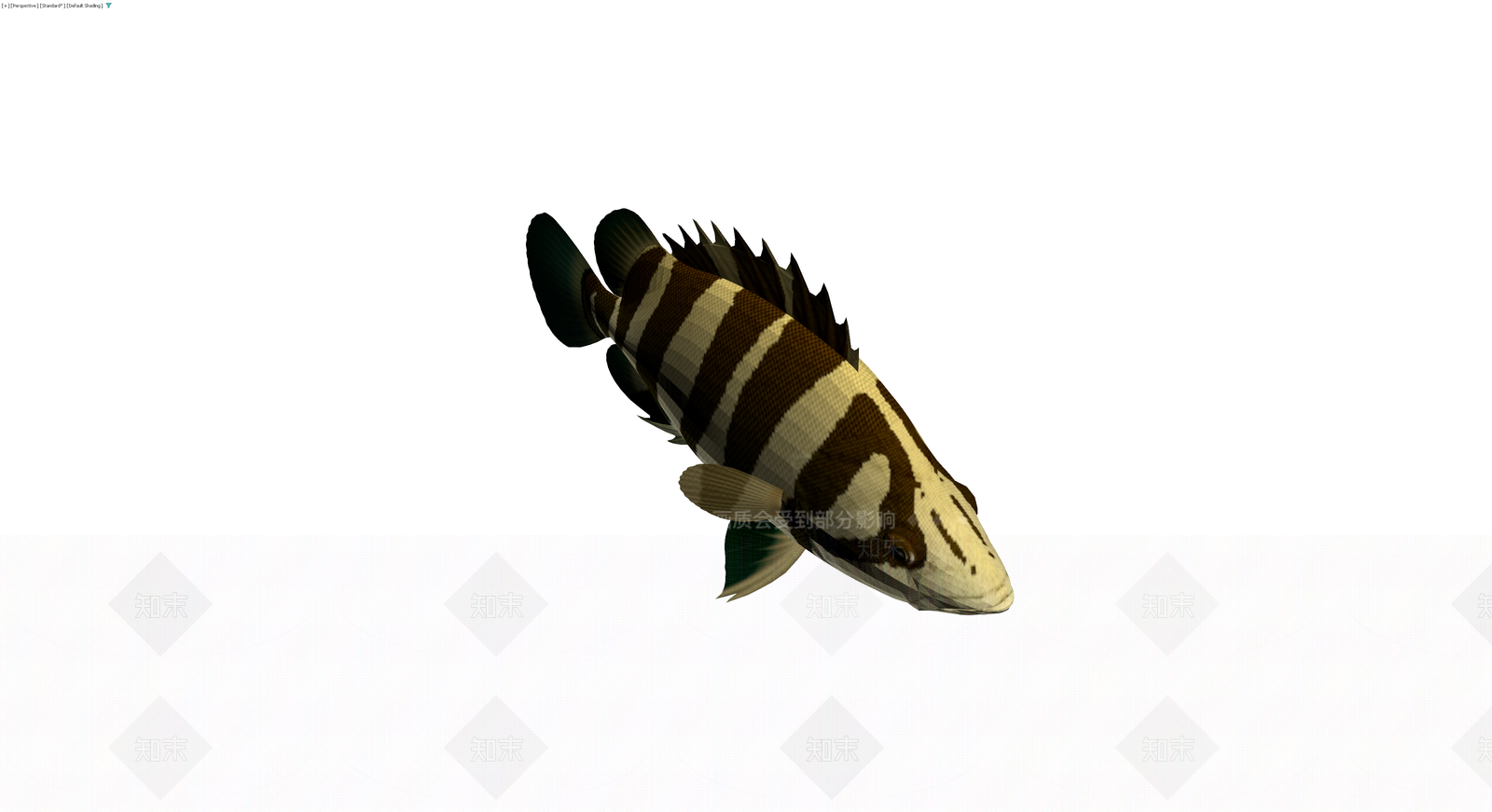 虎鱼3D模型3D模型下载【ID:1229683675】