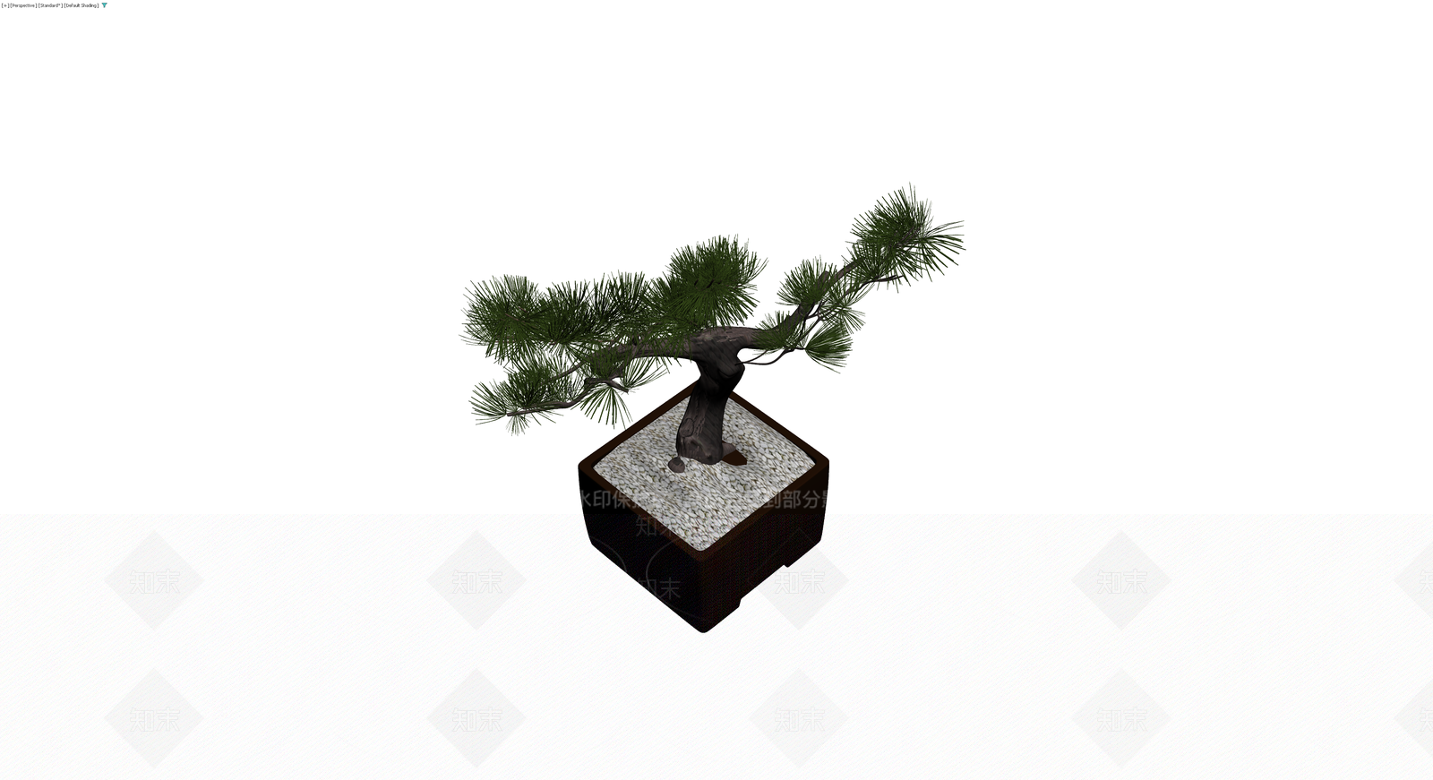 松树盆景模型3D模型下载【ID:1229964885】
