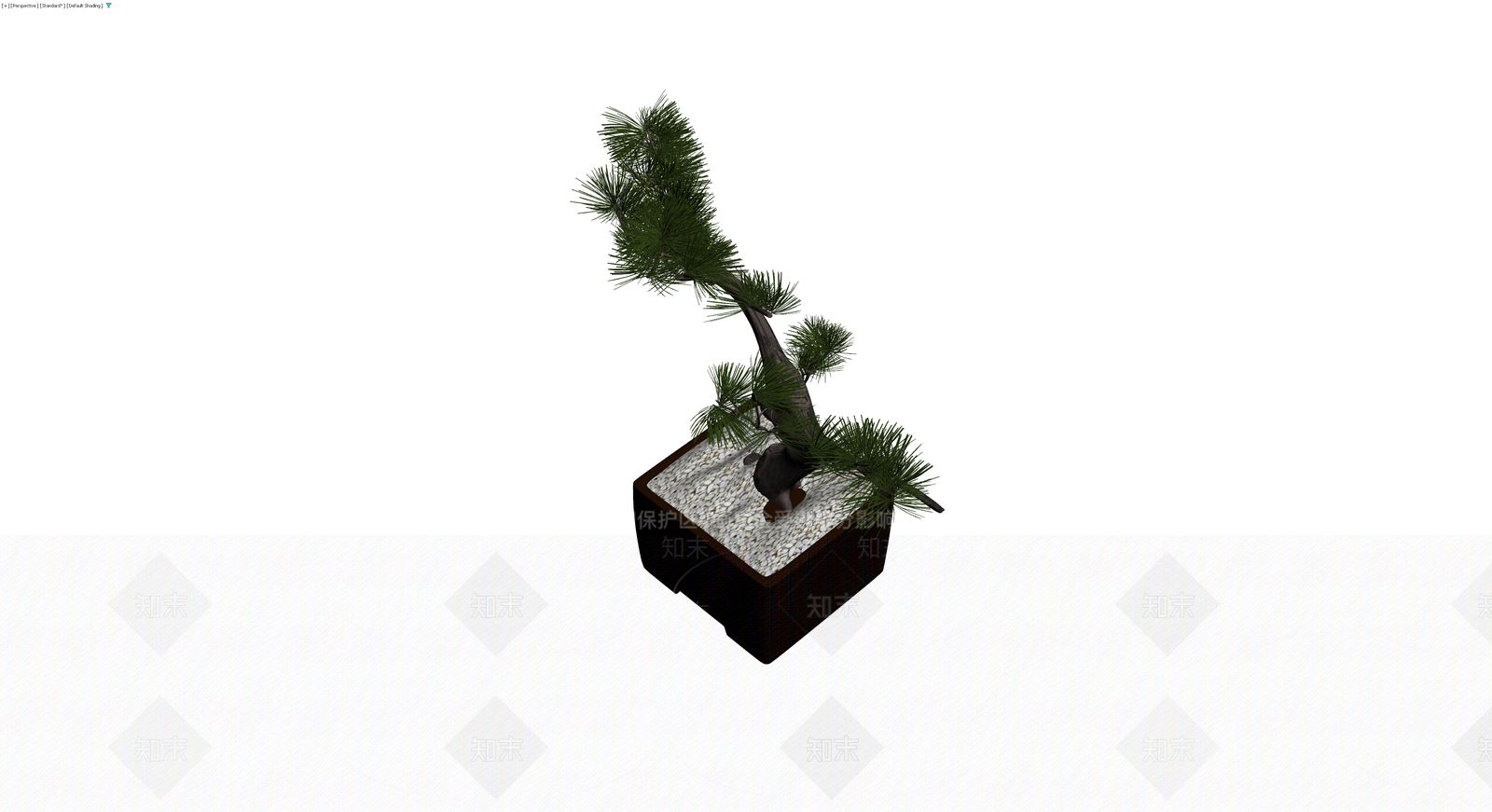 松树盆景模型3D模型下载【ID:1229964885】