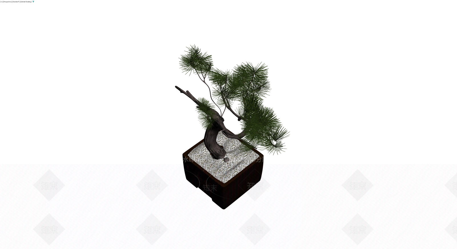 松树盆景模型3D模型下载【ID:1229964885】