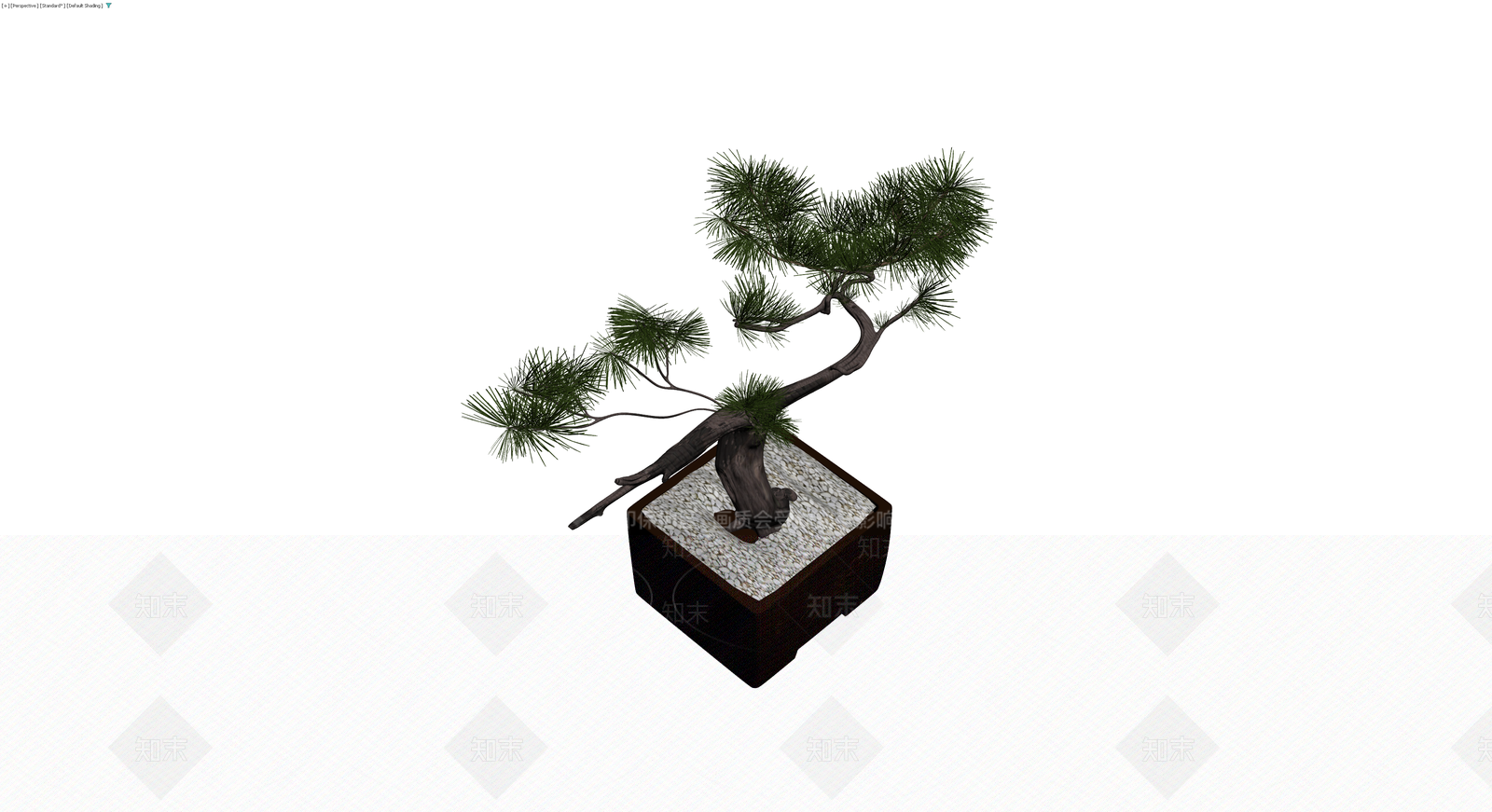 松树盆景模型3D模型下载【ID:1229964885】