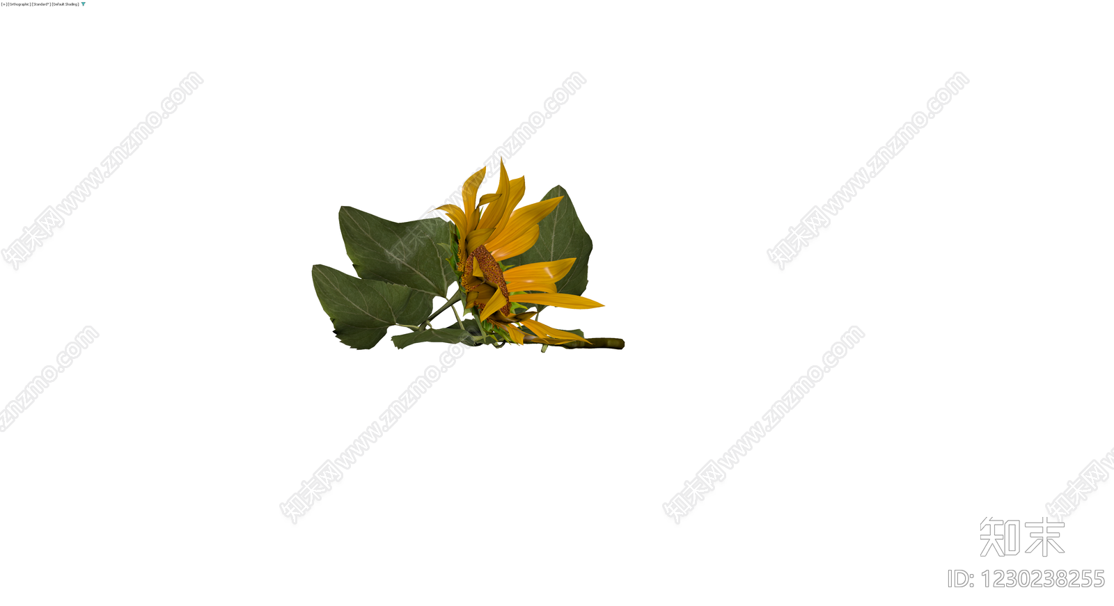 向日葵花卉模型3D模型下载【ID:1230238255】