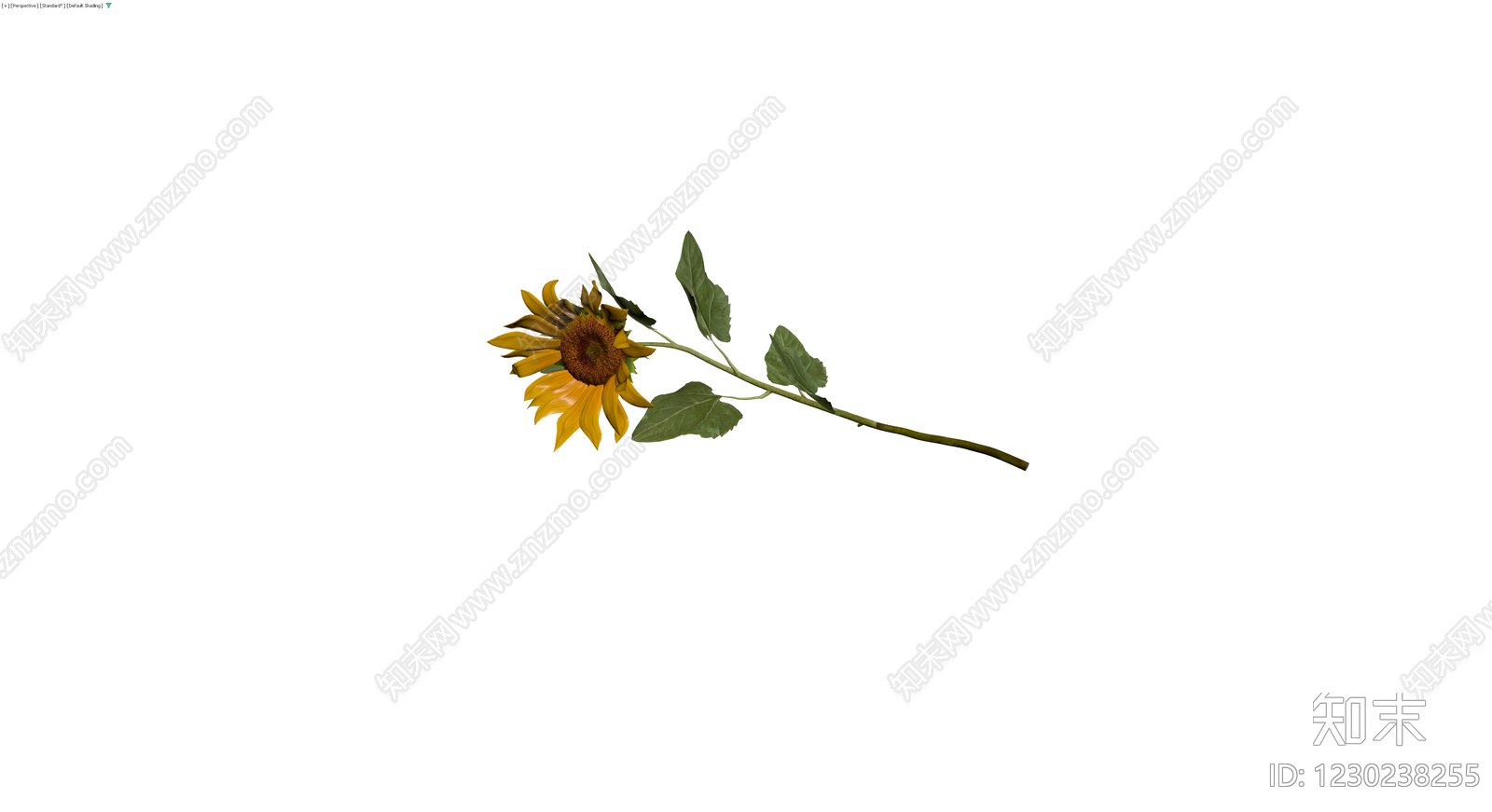 向日葵花卉模型3D模型下载【ID:1230238255】