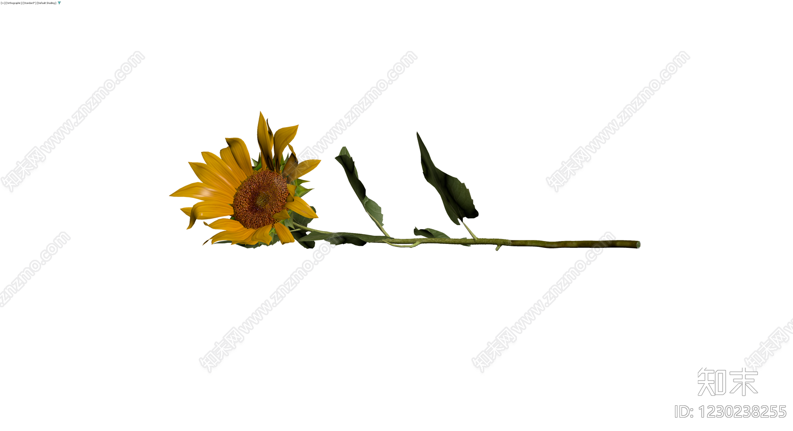 向日葵花卉模型3D模型下载【ID:1230238255】