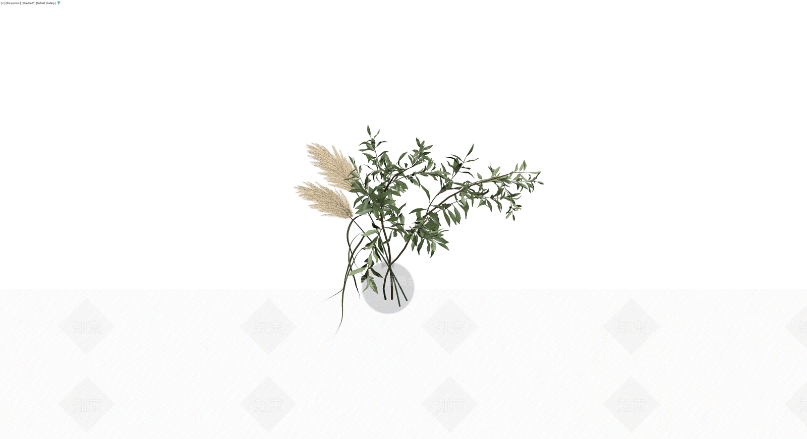 绿植盆栽组合（橄榄枝/芦苇）3D模型下载【ID:1229861342】