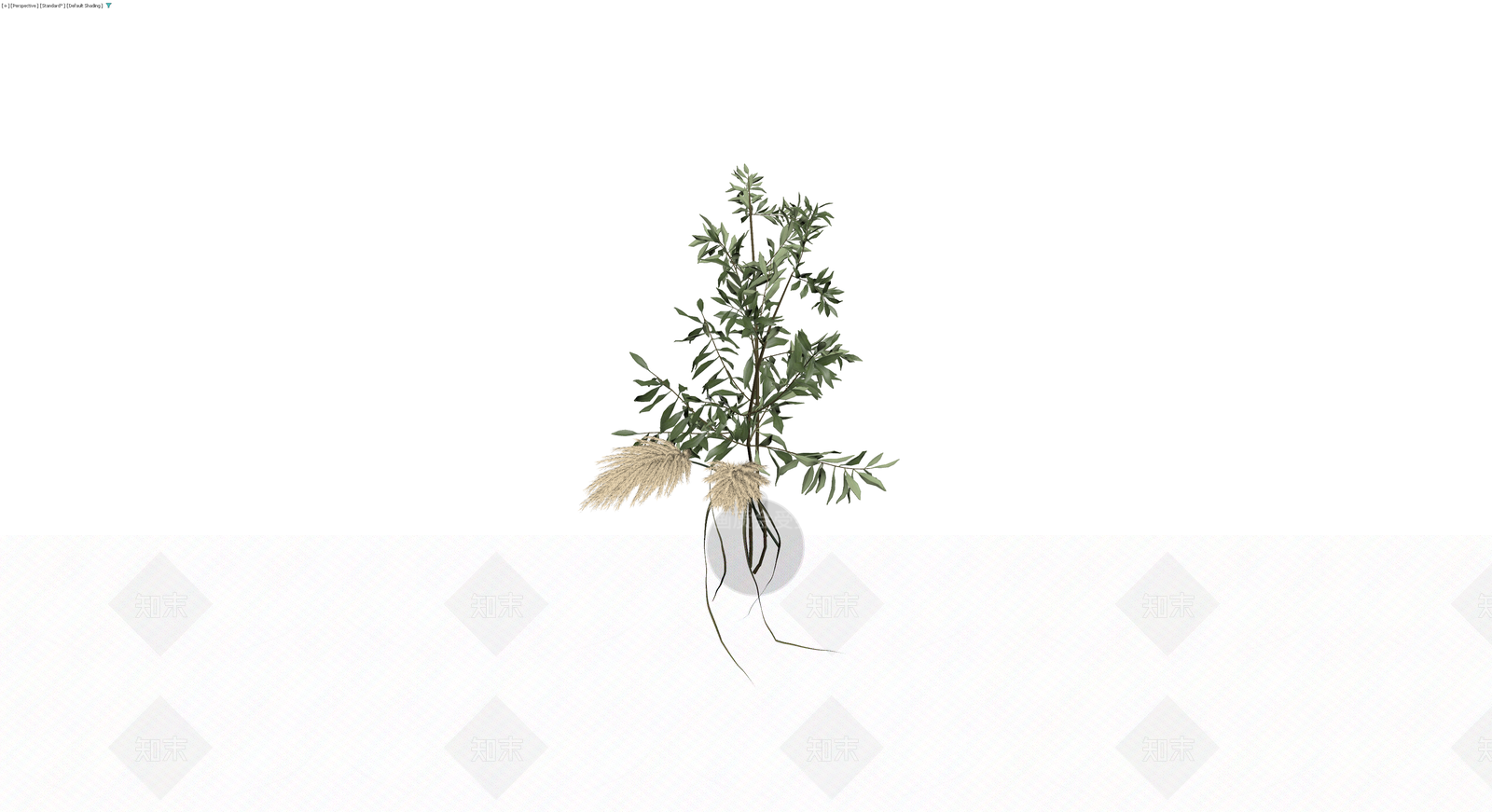 绿植盆栽组合（橄榄枝/芦苇）3D模型下载【ID:1229861342】