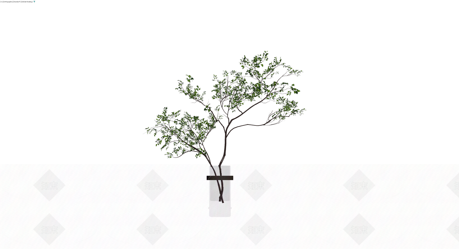 带盆绿植盆栽模型3D模型下载【ID:1229920380】