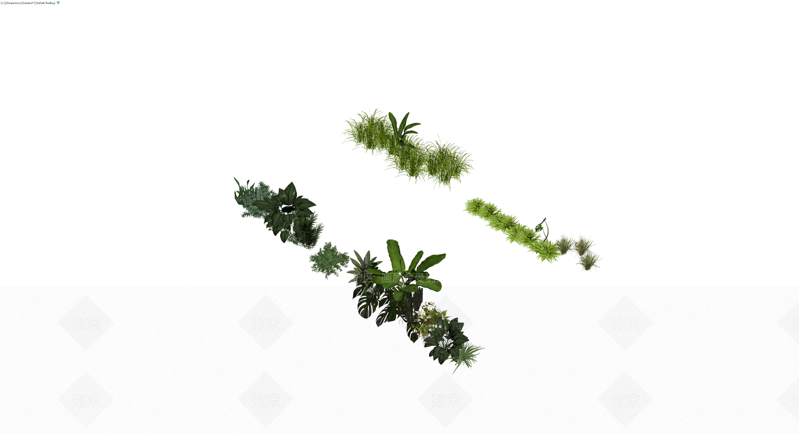 热带植物景观组合3D模型下载【ID:1230088365】