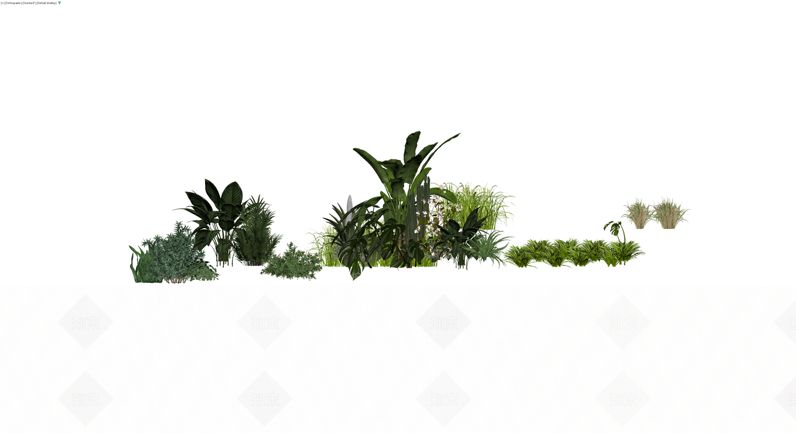 热带植物景观组合3D模型下载【ID:1230088365】
