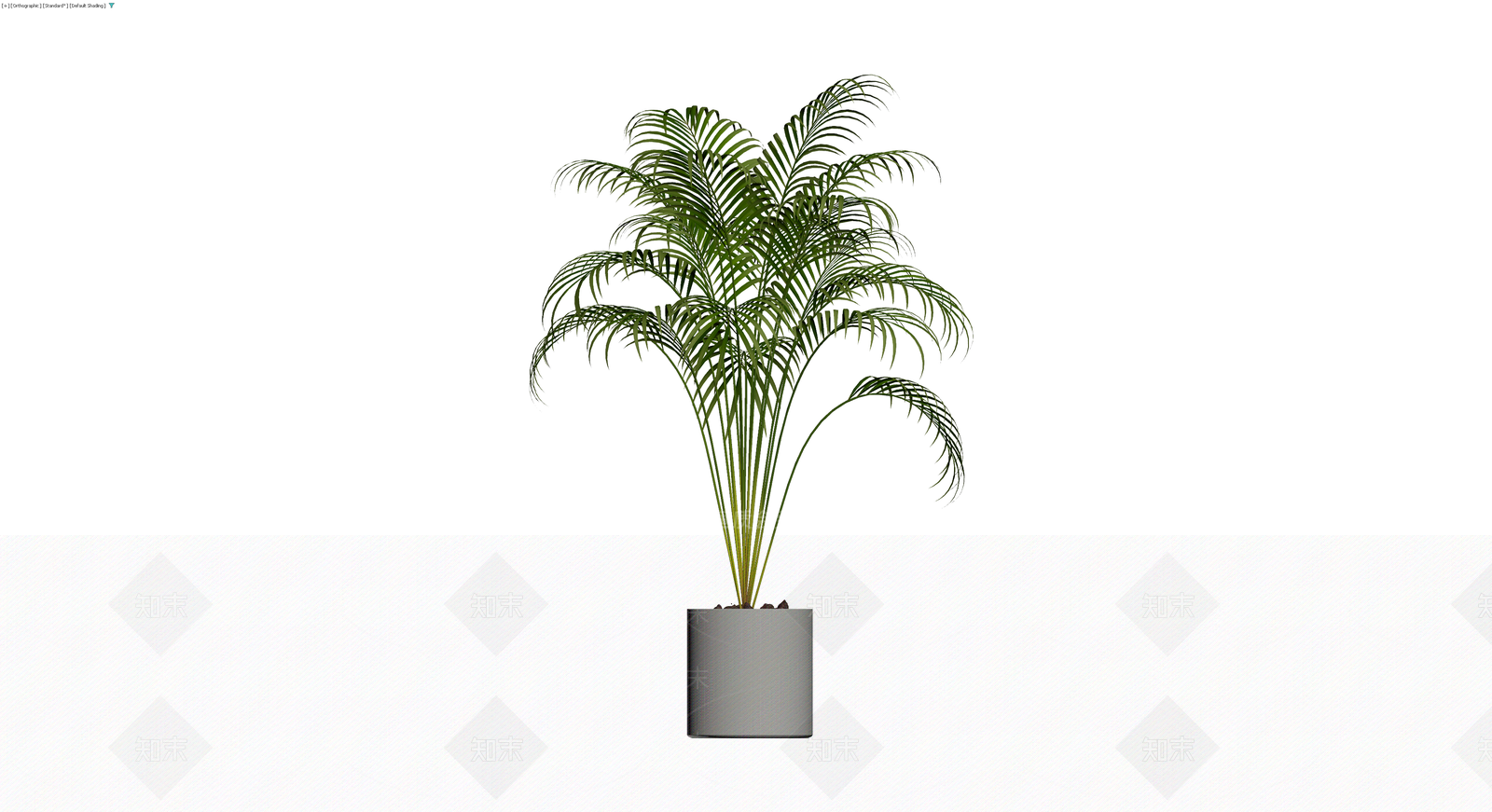 盆栽散尾葵植物3D模型下载【ID:1229848362】