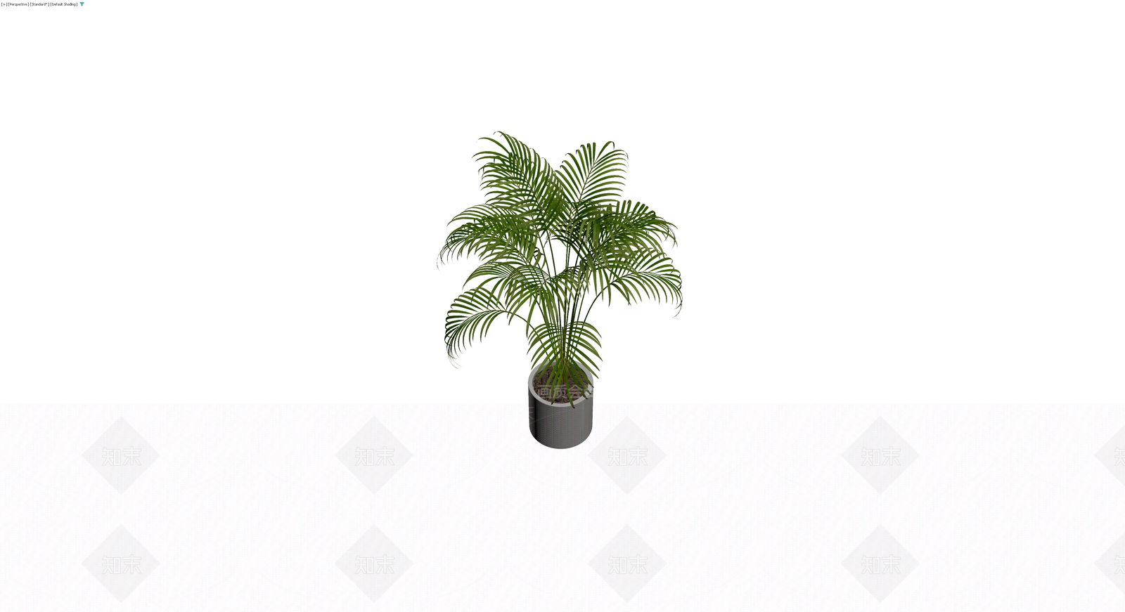 盆栽散尾葵植物3D模型下载【ID:1229848362】