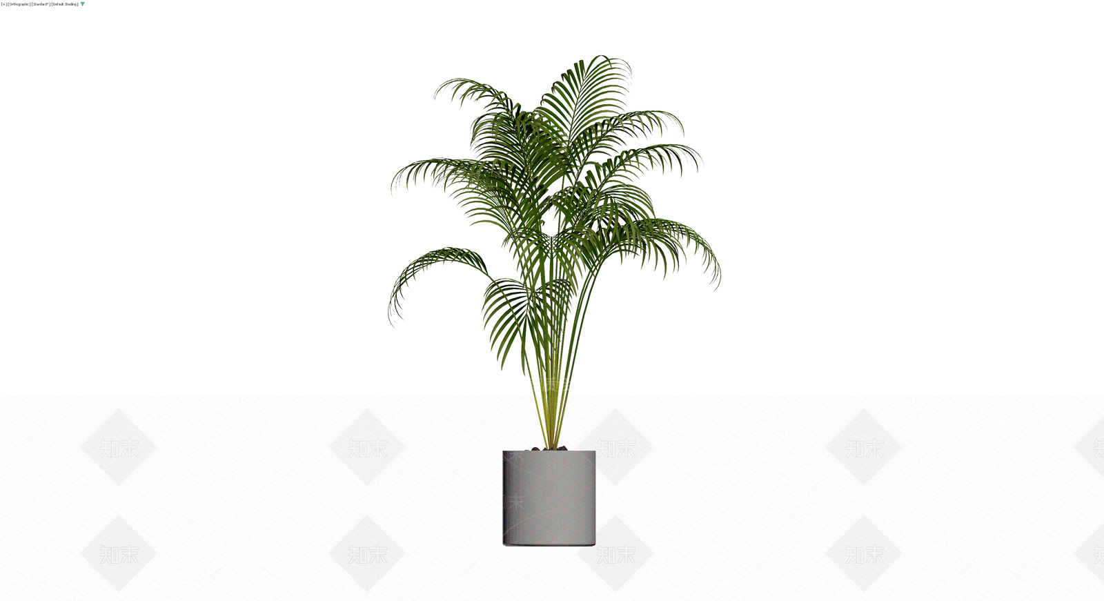 盆栽散尾葵植物3D模型下载【ID:1229848362】