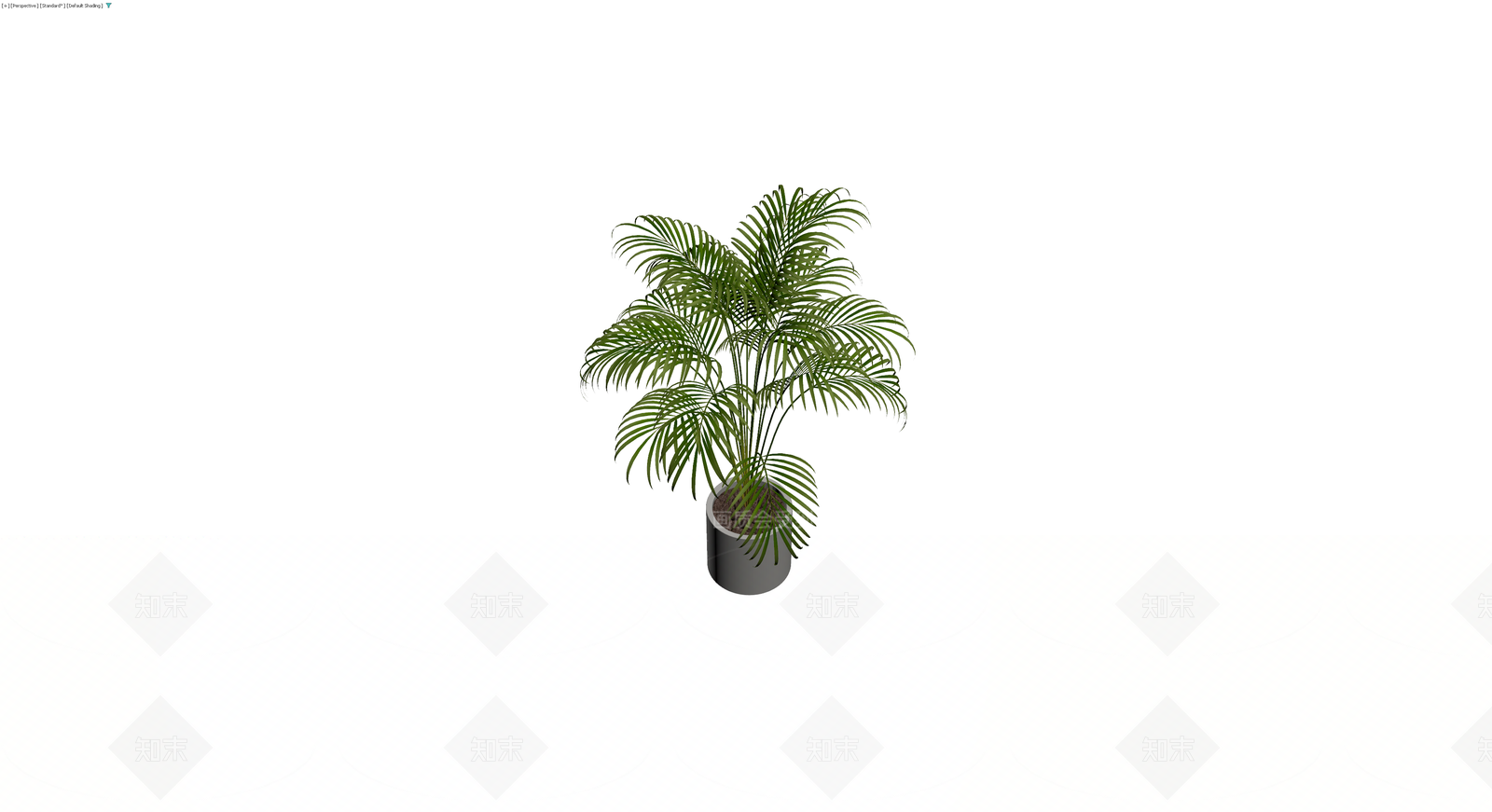 盆栽散尾葵植物3D模型下载【ID:1229848362】