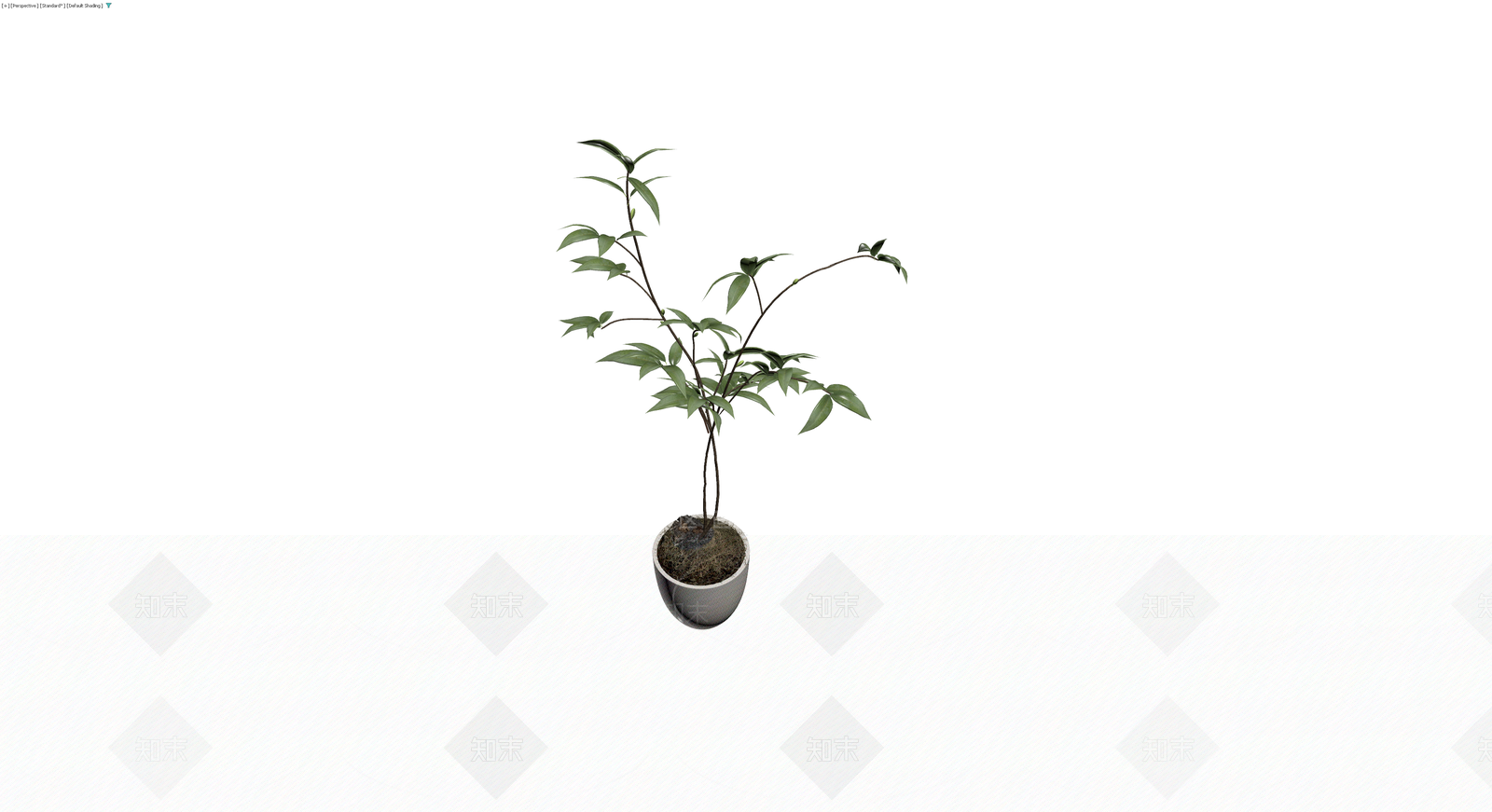 白色花盆绿植盆栽3D模型下载【ID:1230612185】