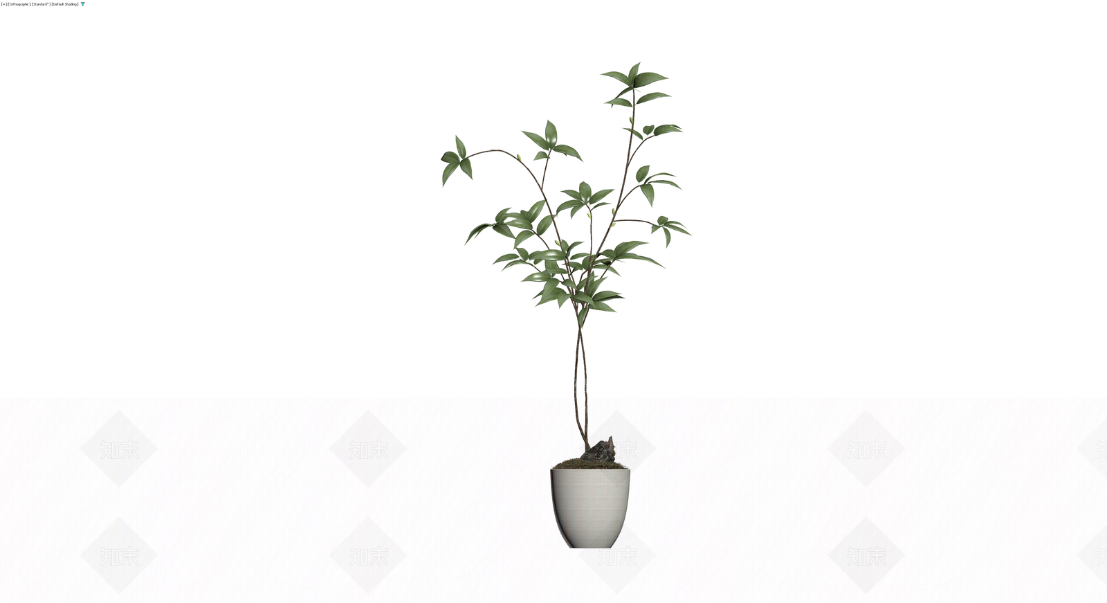 白色花盆绿植盆栽3D模型下载【ID:1230612185】