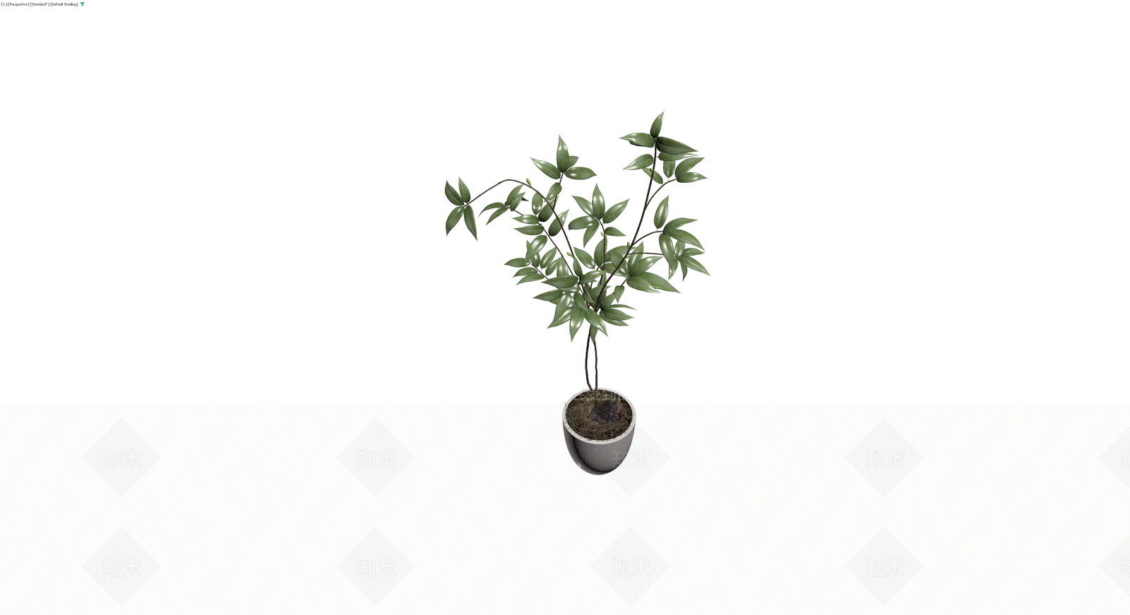 白色花盆绿植盆栽3D模型下载【ID:1230612185】