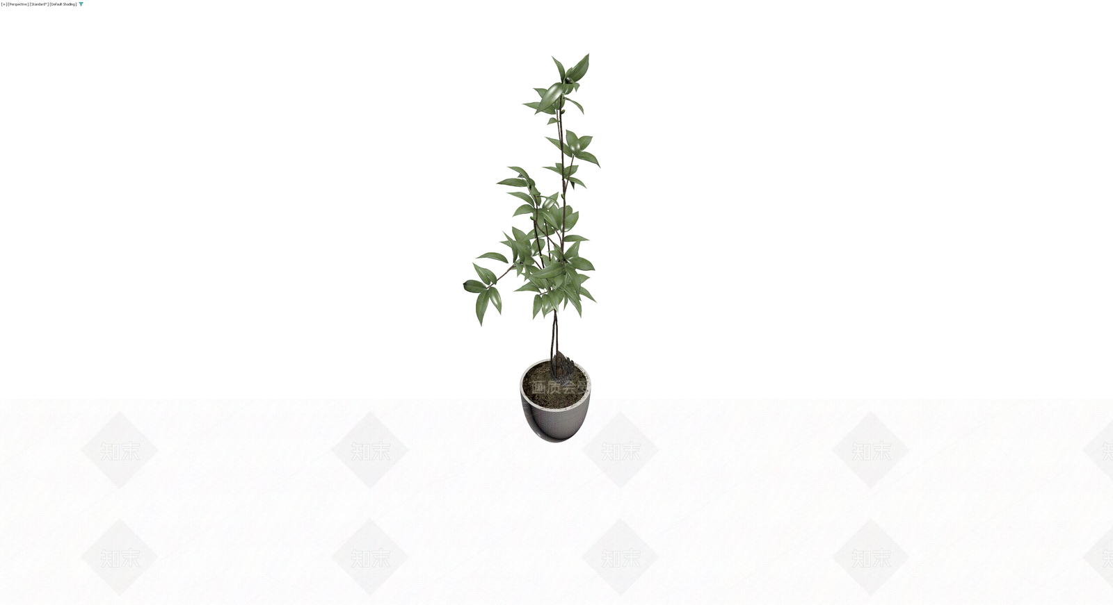 白色花盆绿植盆栽3D模型下载【ID:1230612185】