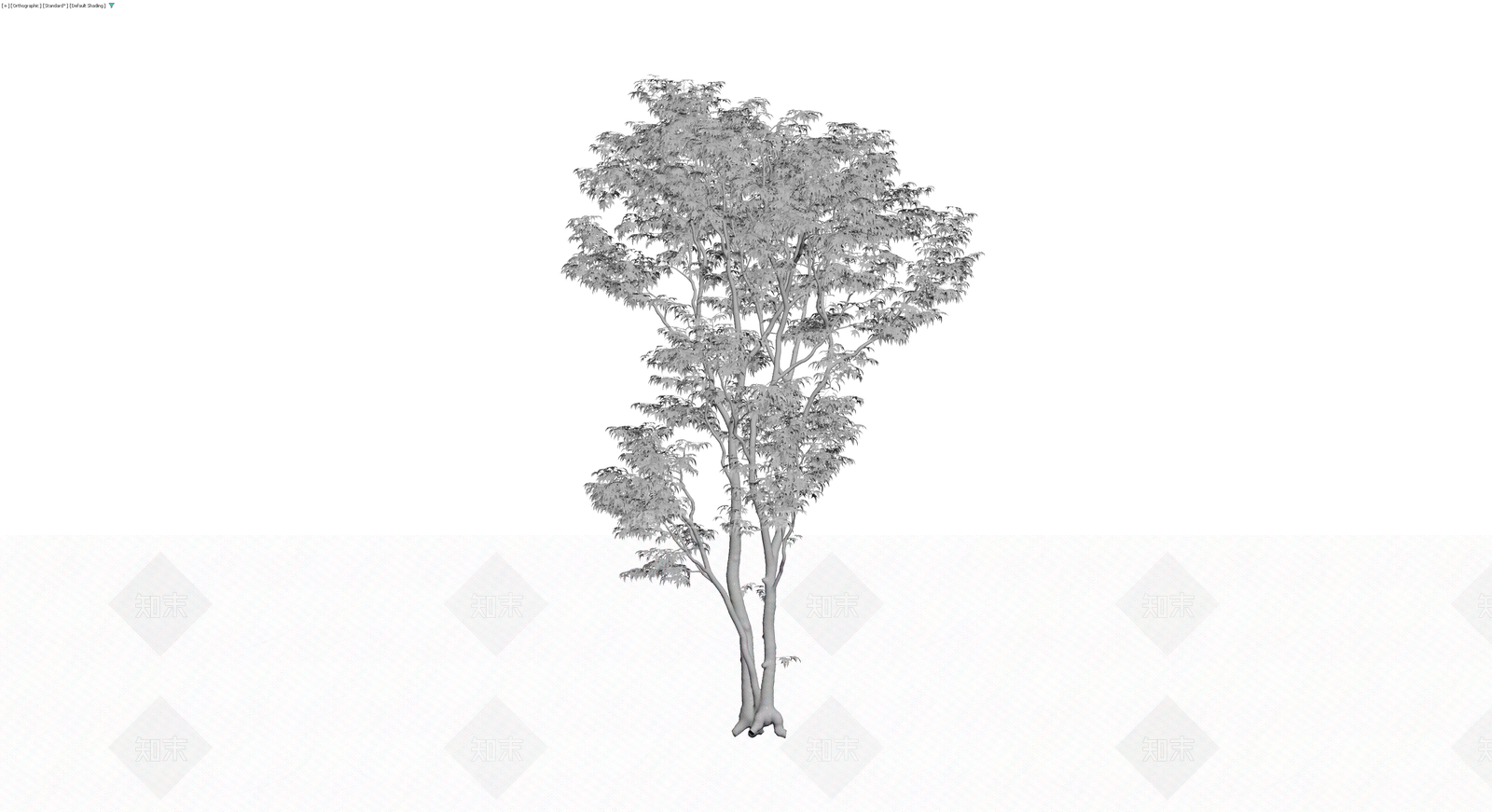 多视角灰模景观乔木3D模型下载【ID:1230657825】