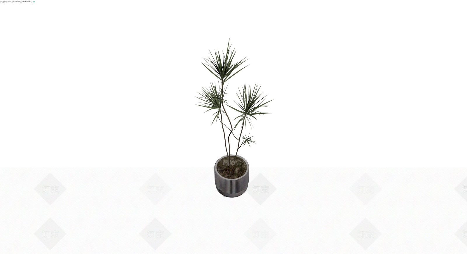 盆栽植物带盆3D模型下载【ID:1230099261】