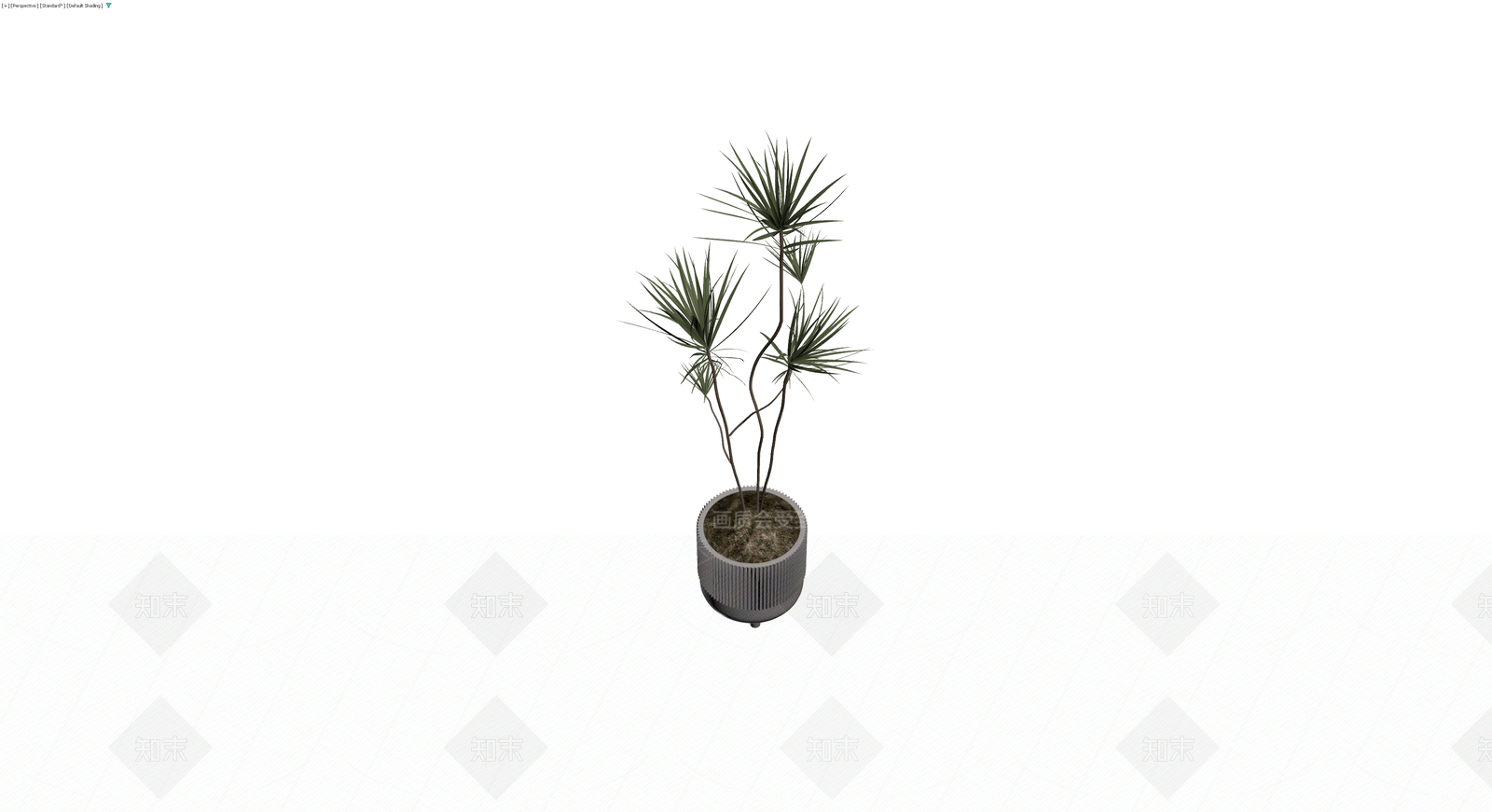 盆栽植物带盆3D模型下载【ID:1230099261】