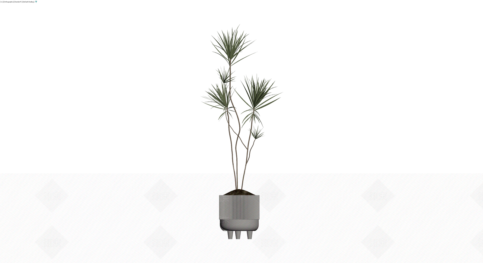 盆栽植物带盆3D模型下载【ID:1230099261】