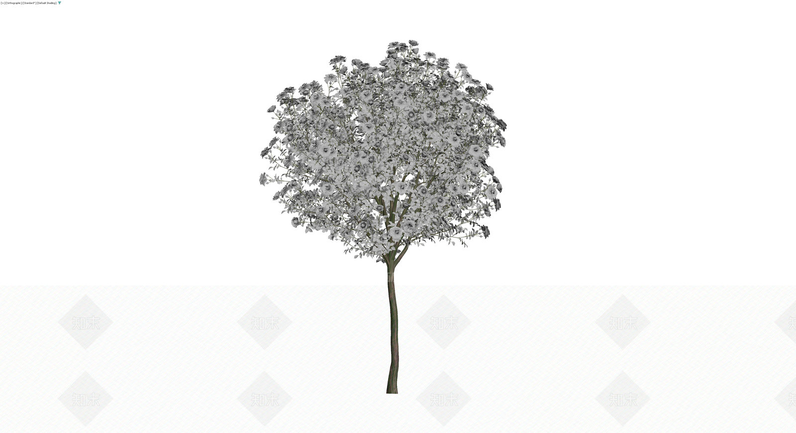 白色繁花景观乔木3D模型下载【ID:1229852223】