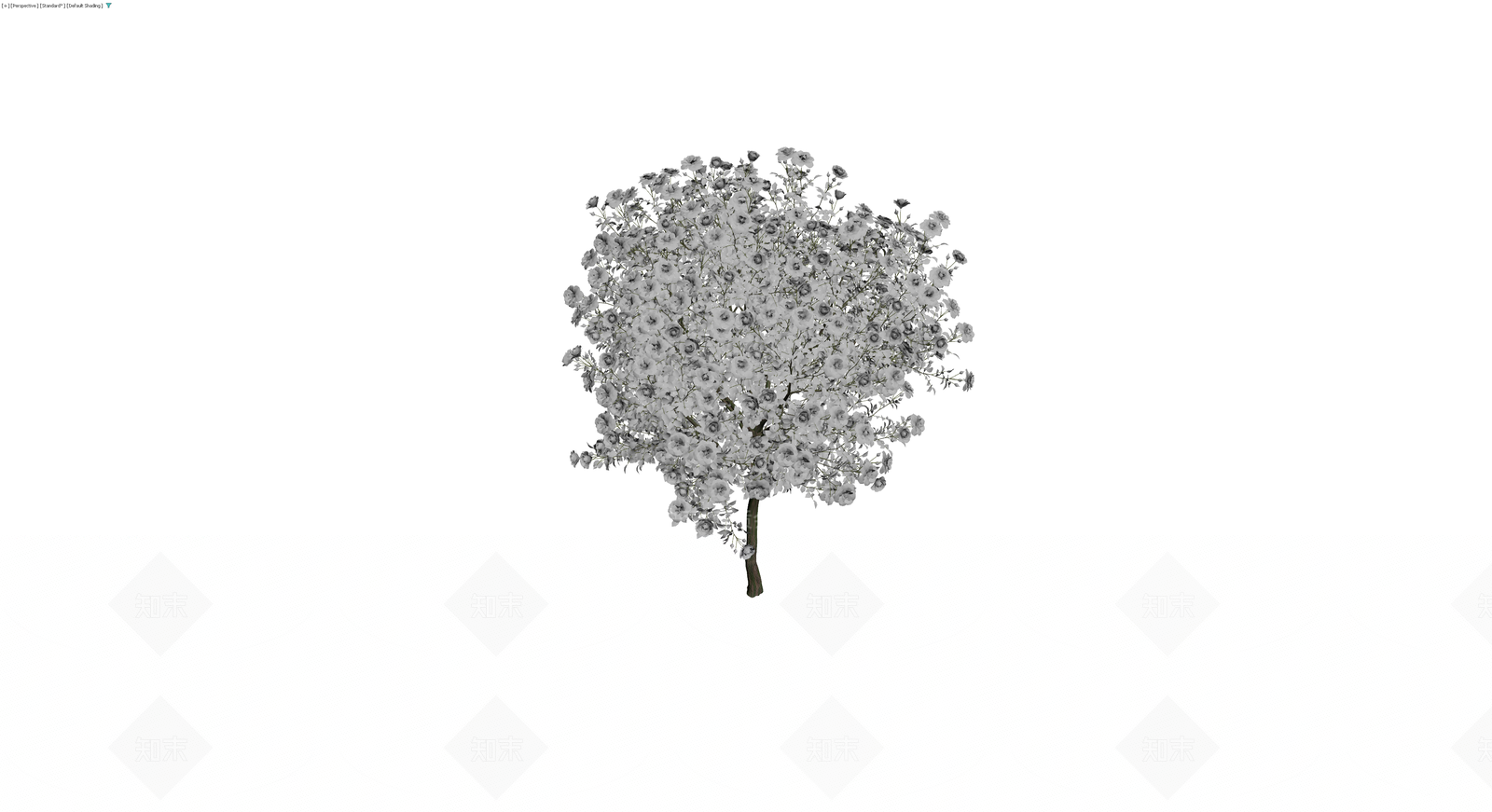 白色繁花景观乔木3D模型下载【ID:1229852223】