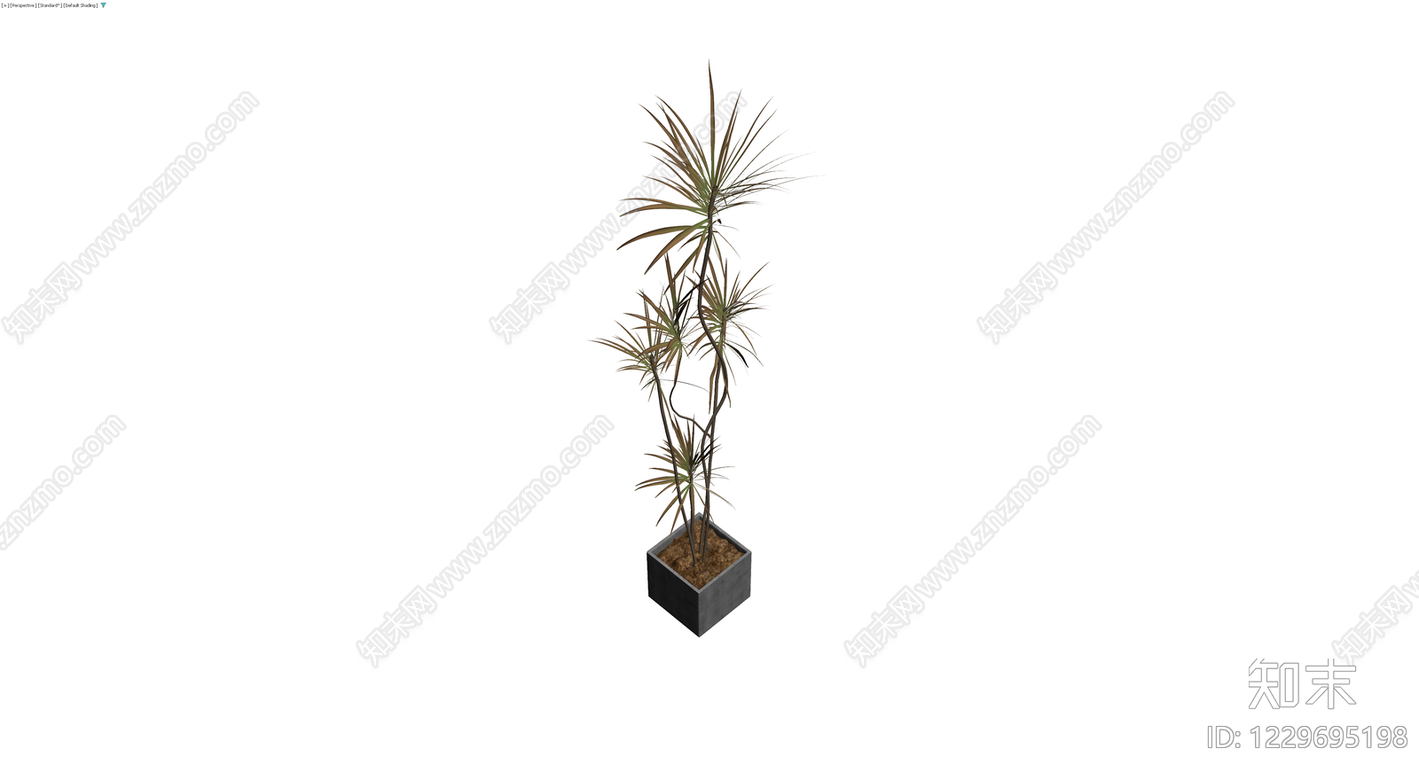 方形盆栽龙血树3D模型下载【ID:1229695198】