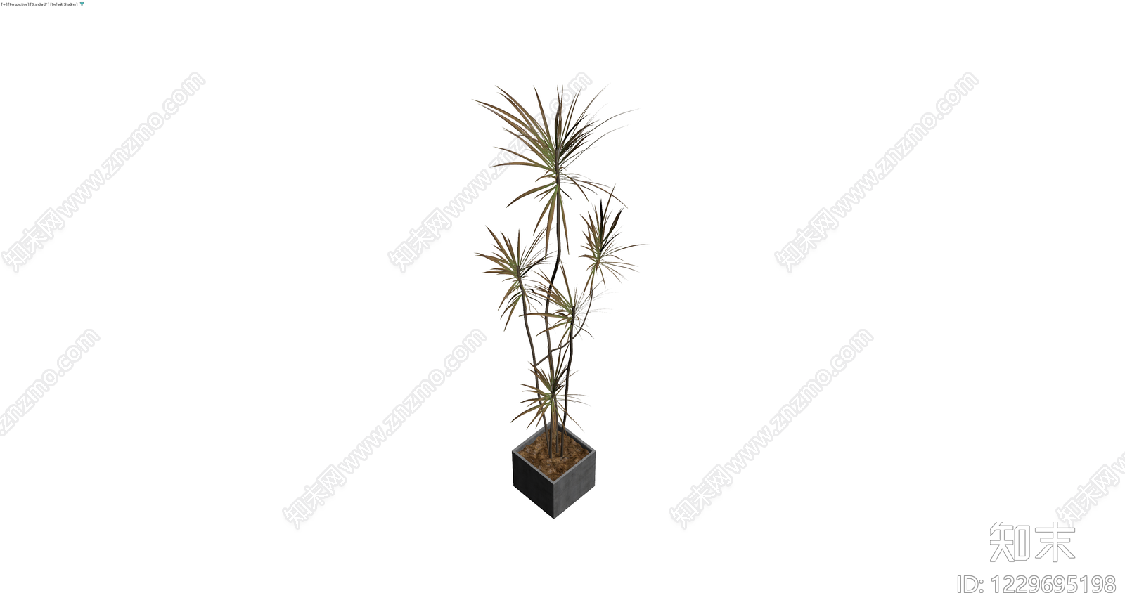 方形盆栽龙血树3D模型下载【ID:1229695198】