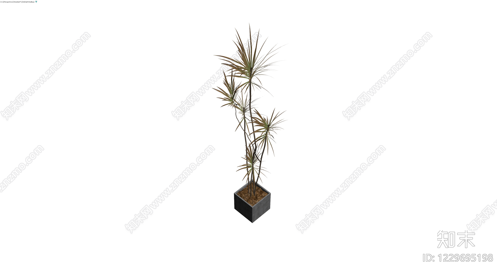 方形盆栽龙血树3D模型下载【ID:1229695198】
