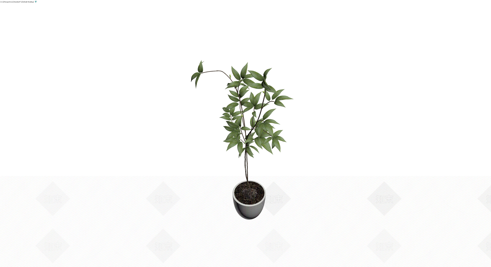 盆栽绿植3D模型下载【ID:1230558446】