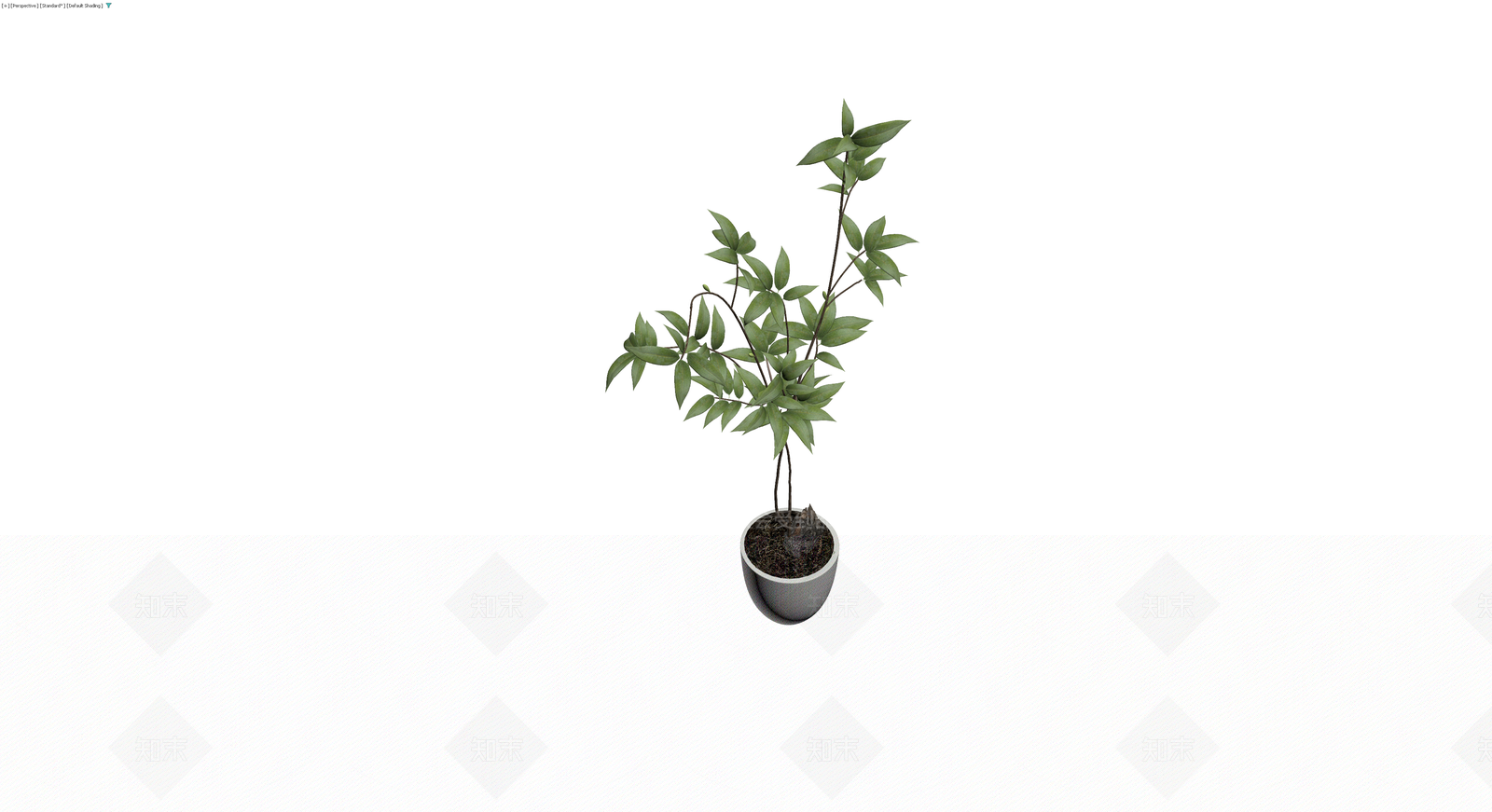 盆栽绿植3D模型下载【ID:1230558446】