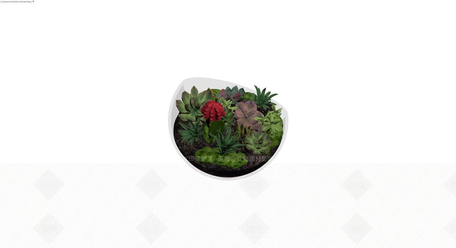 多肉植物玻璃景观盆栽3D模型下载【ID:1230086487】