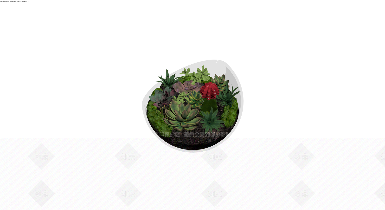 多肉植物玻璃景观盆栽3D模型下载【ID:1230086487】