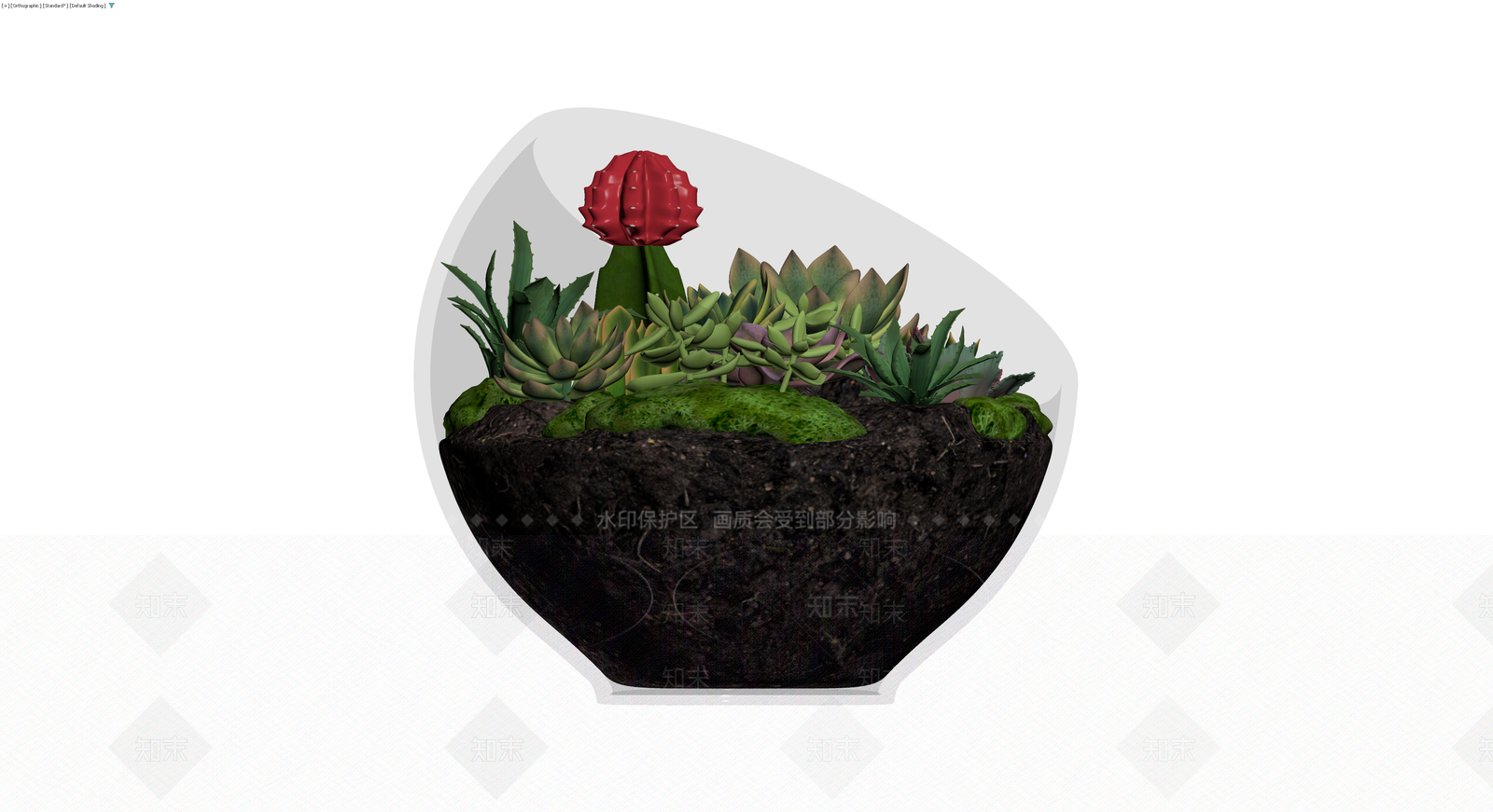 多肉植物玻璃景观盆栽3D模型下载【ID:1230086487】