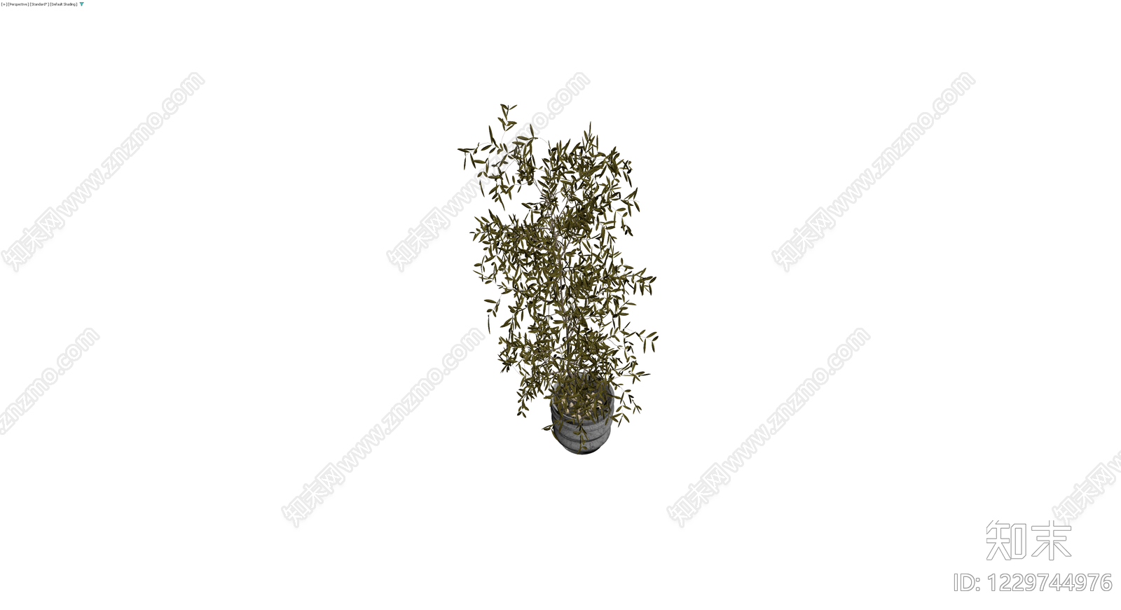 大理石纹盆栽橄榄树3D模型下载【ID:1229744976】