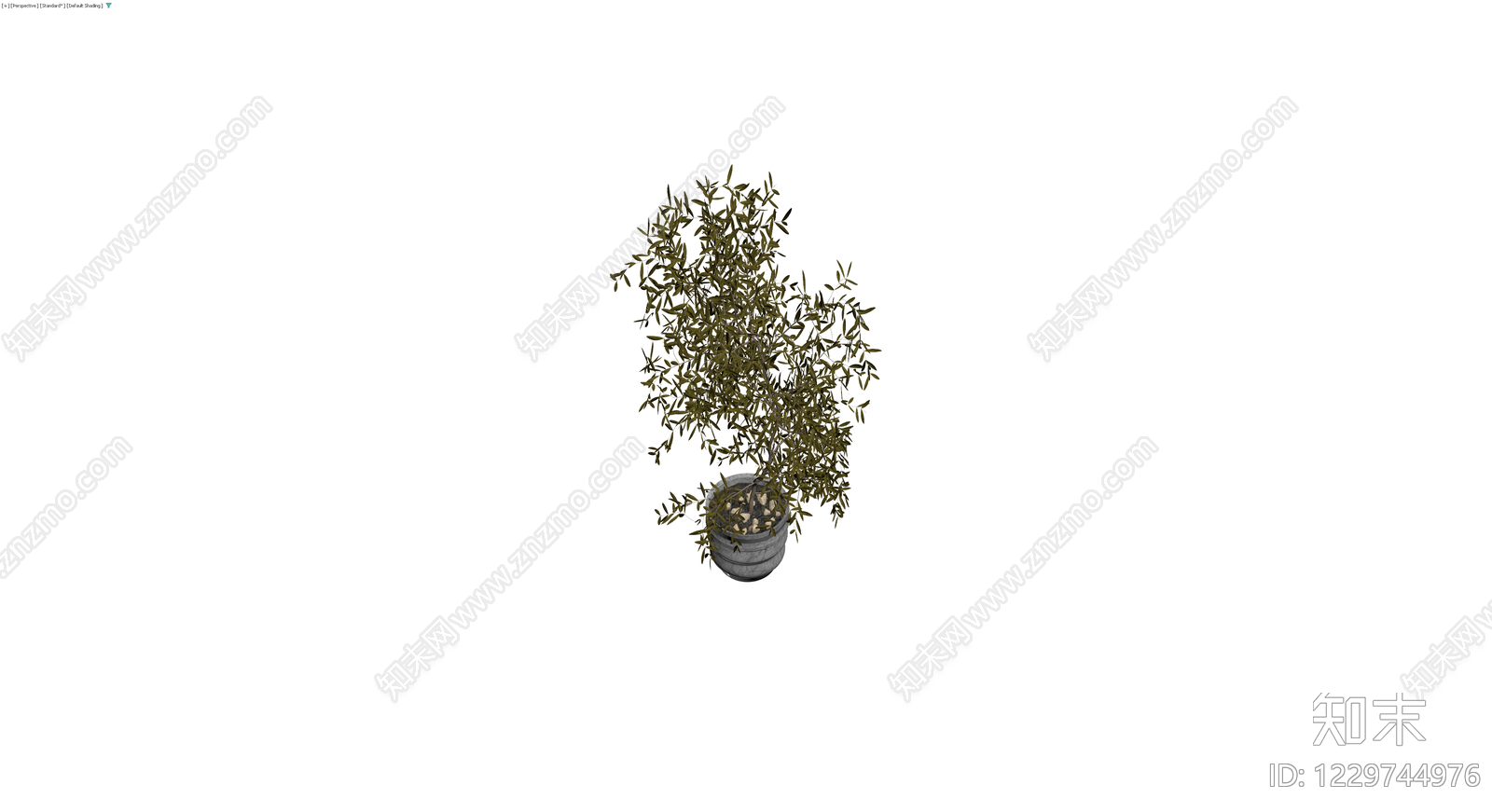 大理石纹盆栽橄榄树3D模型下载【ID:1229744976】
