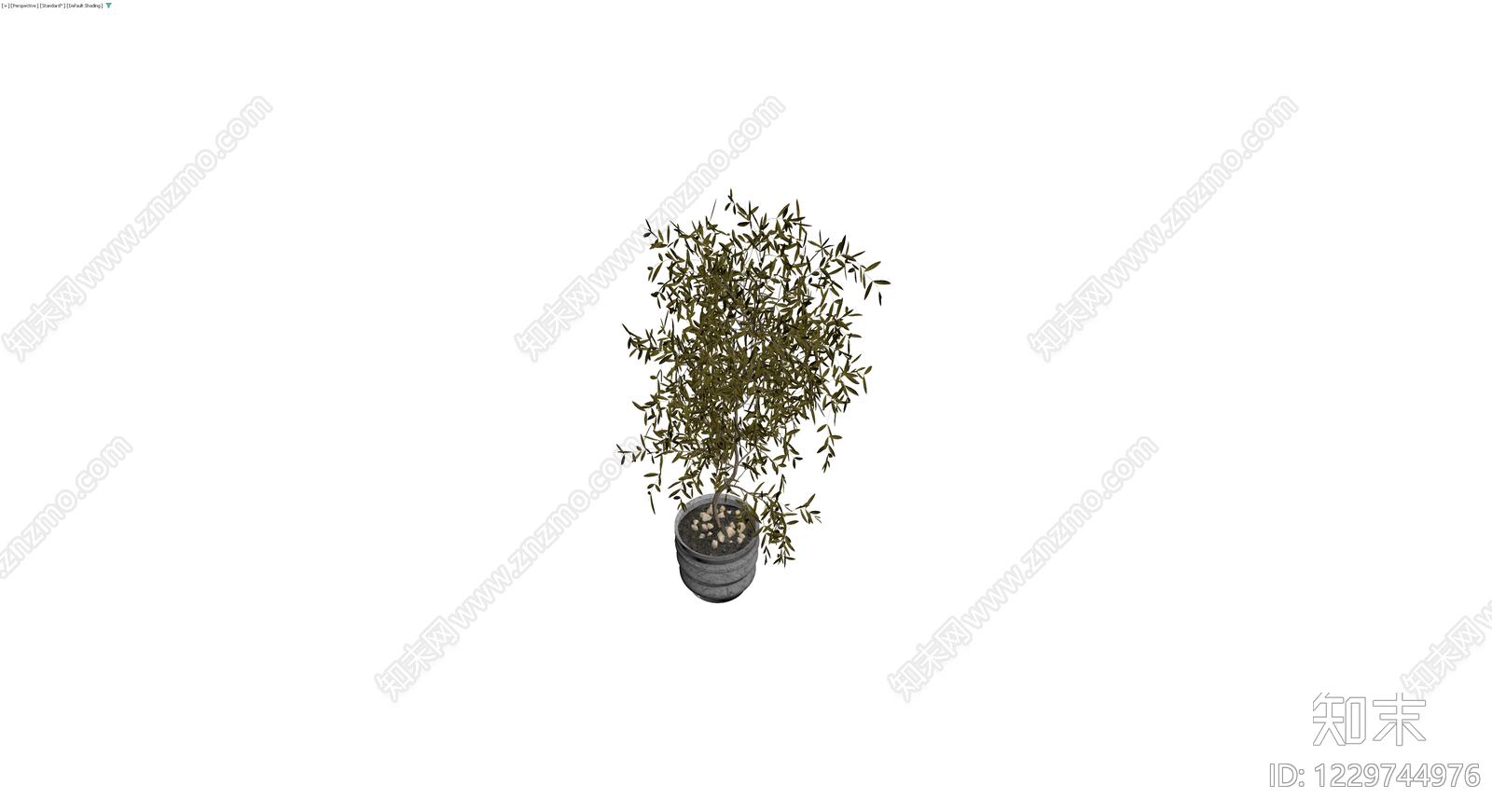 大理石纹盆栽橄榄树3D模型下载【ID:1229744976】