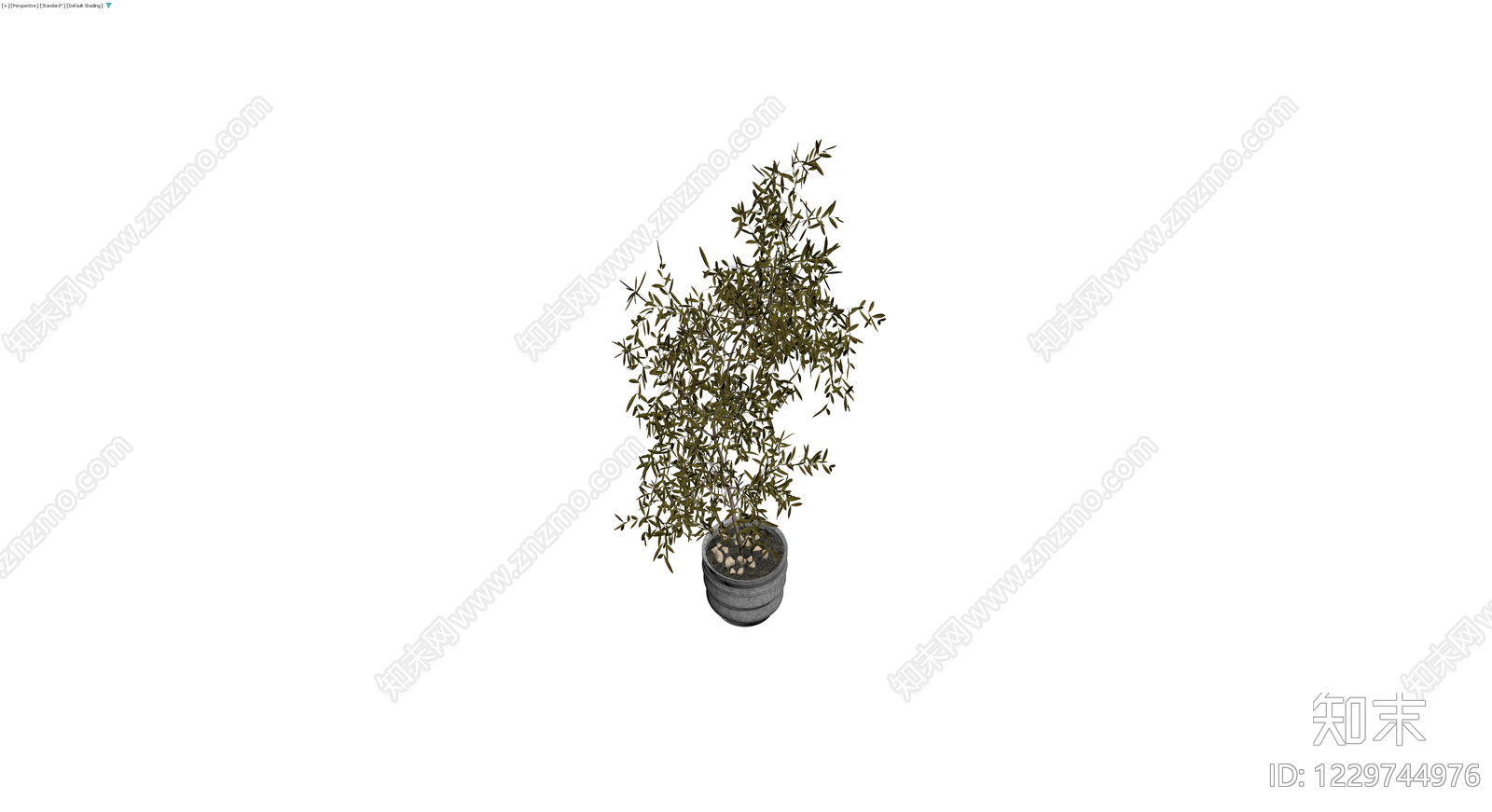 大理石纹盆栽橄榄树3D模型下载【ID:1229744976】