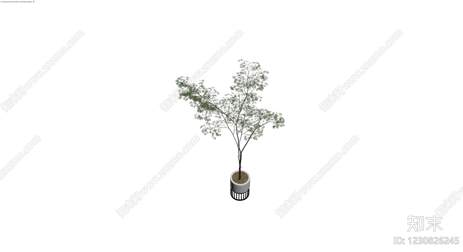 盆栽植物带盆3D模型下载【ID:1230826245】