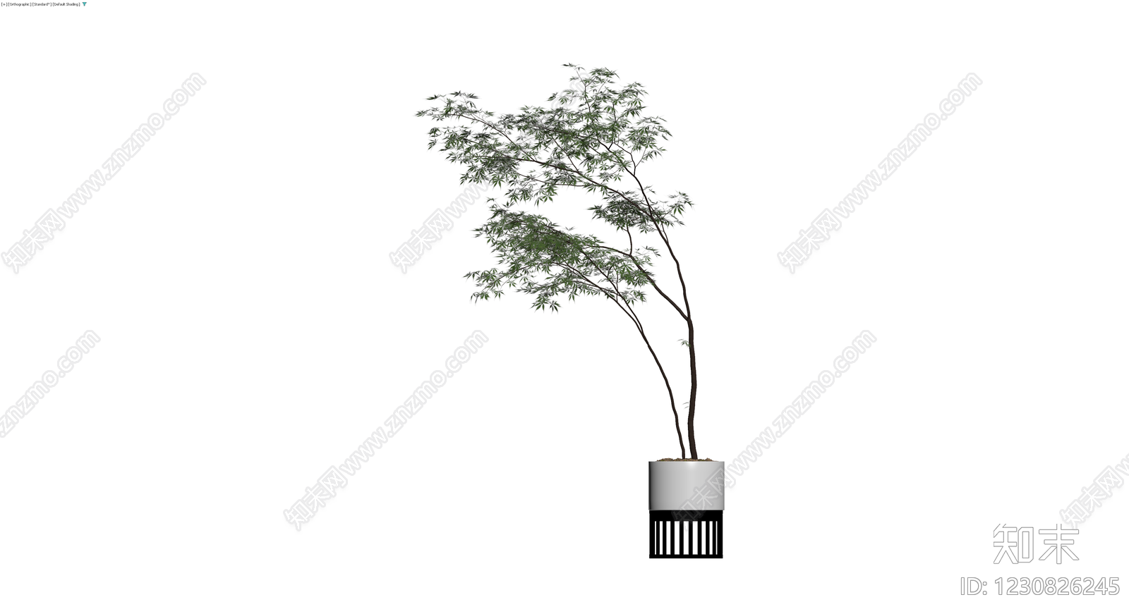 盆栽植物带盆3D模型下载【ID:1230826245】