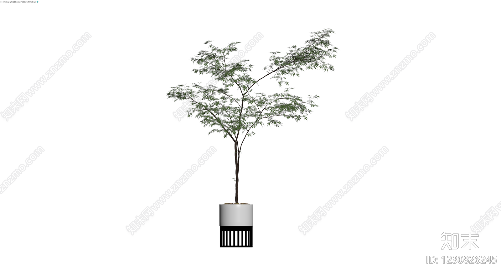 盆栽植物带盆3D模型下载【ID:1230826245】