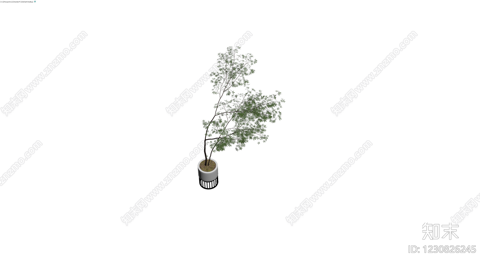 盆栽植物带盆3D模型下载【ID:1230826245】