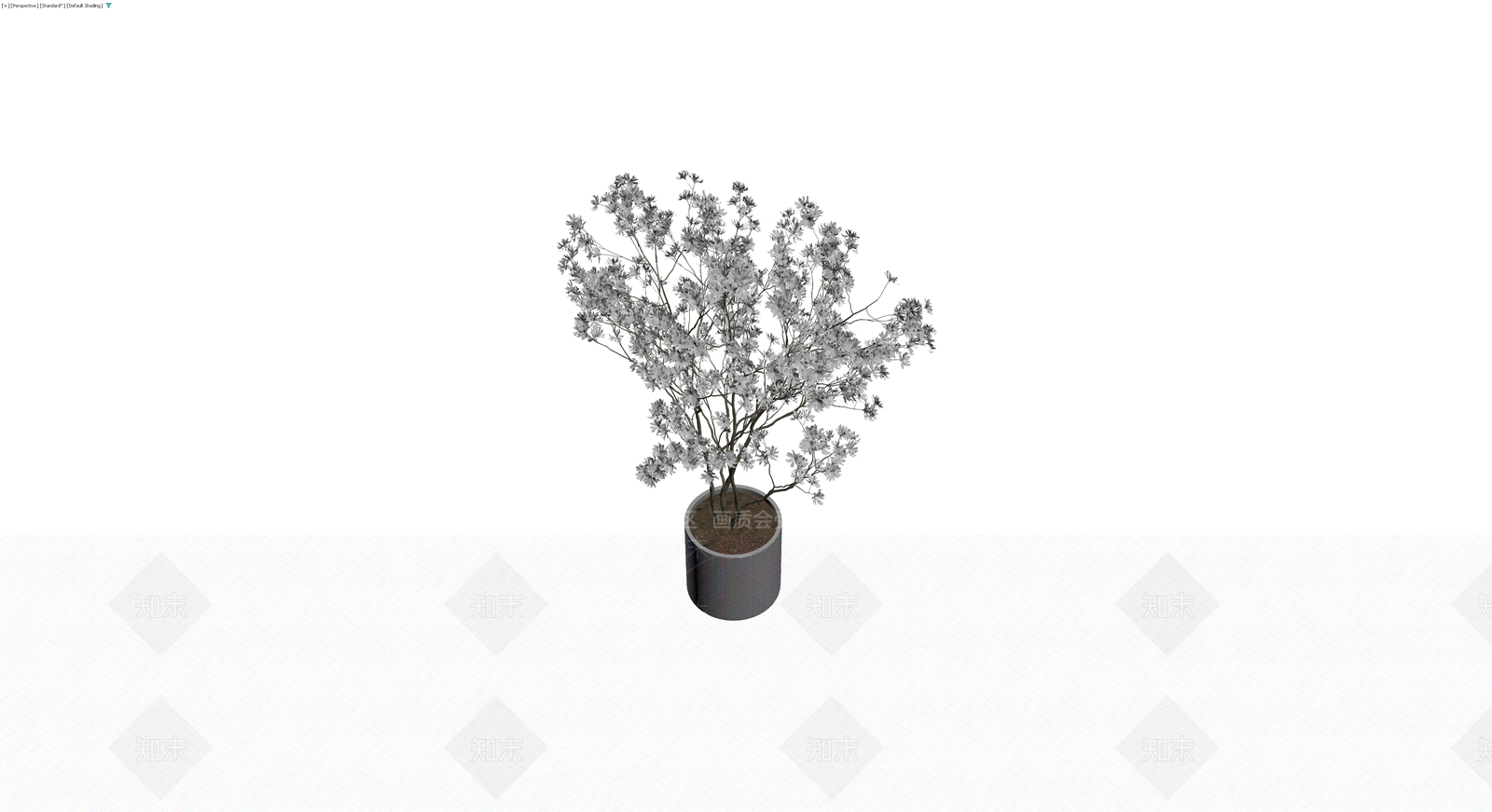 盆栽开花灌木模型3D模型下载【ID:1230143708】