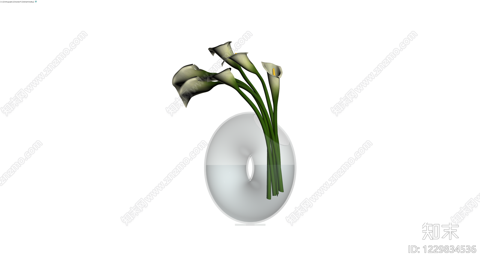 马蹄莲盆栽组合3D模型下载【ID:1229834536】