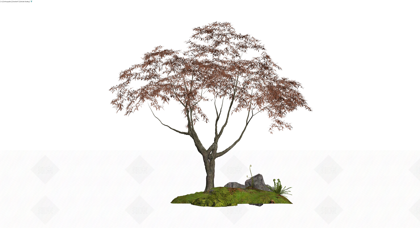红枫景观乔木组合3D模型下载【ID:1230093360】