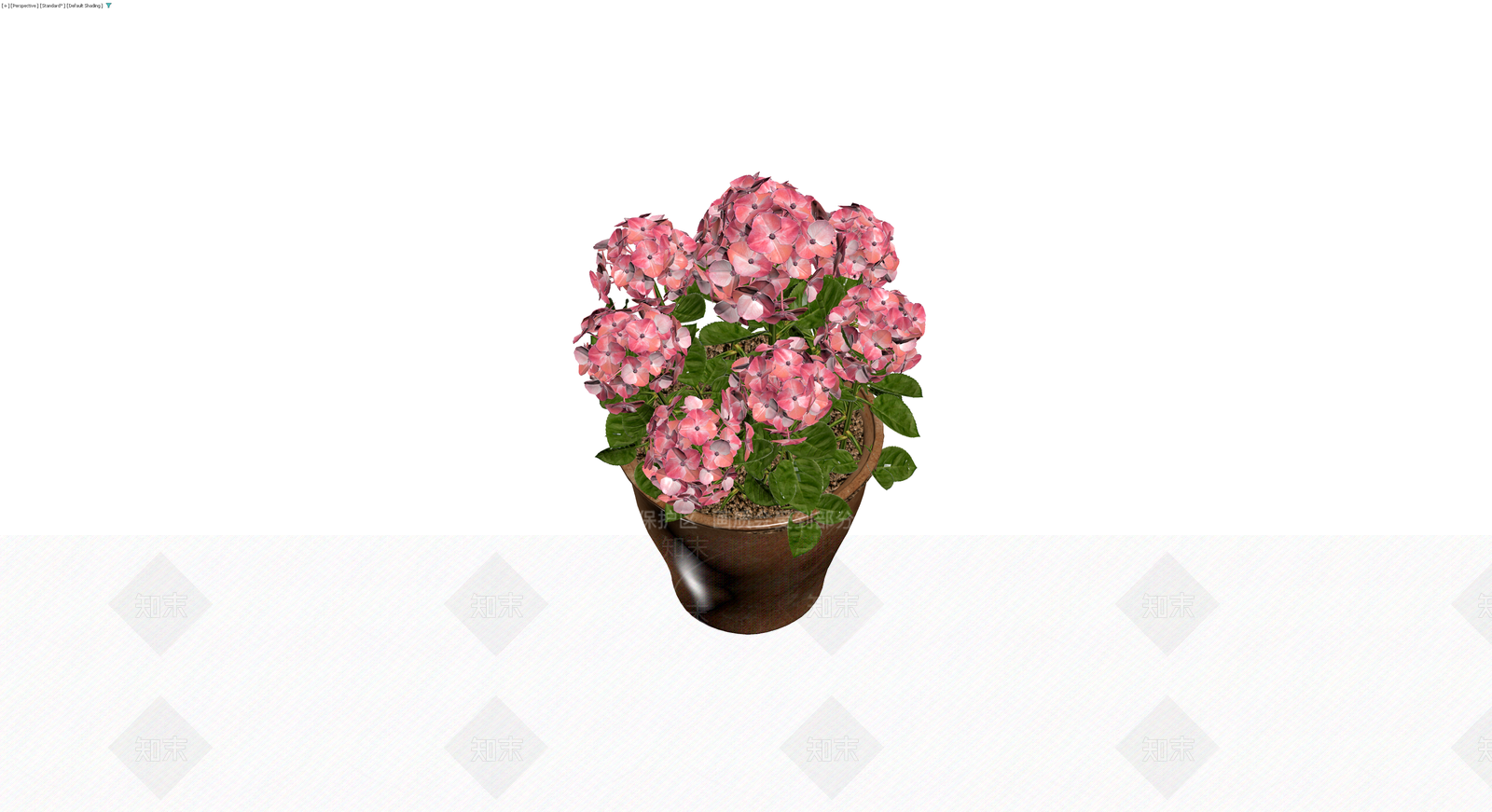 粉色绣球盆栽模型3D模型下载【ID:1229657360】